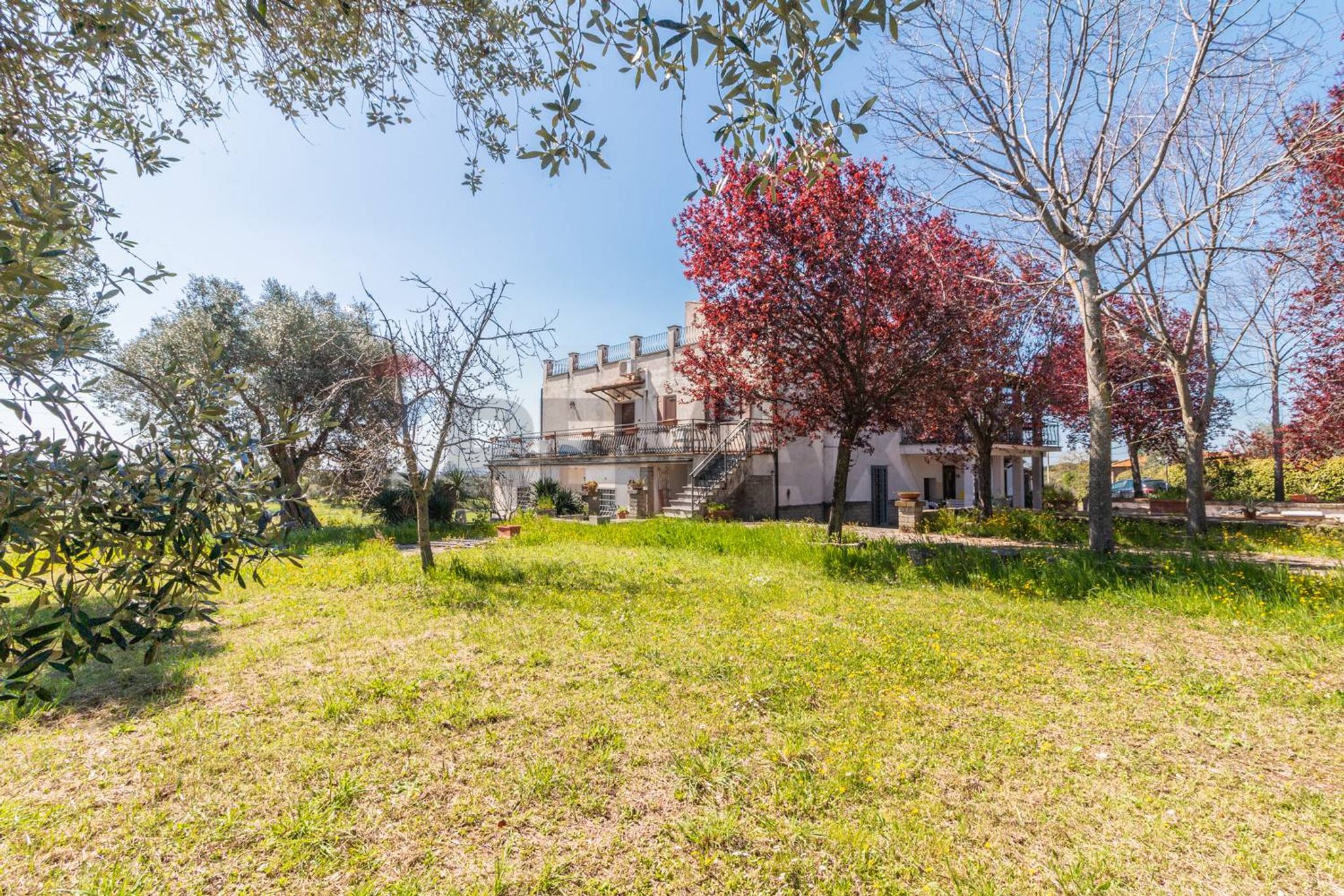 Giardino
