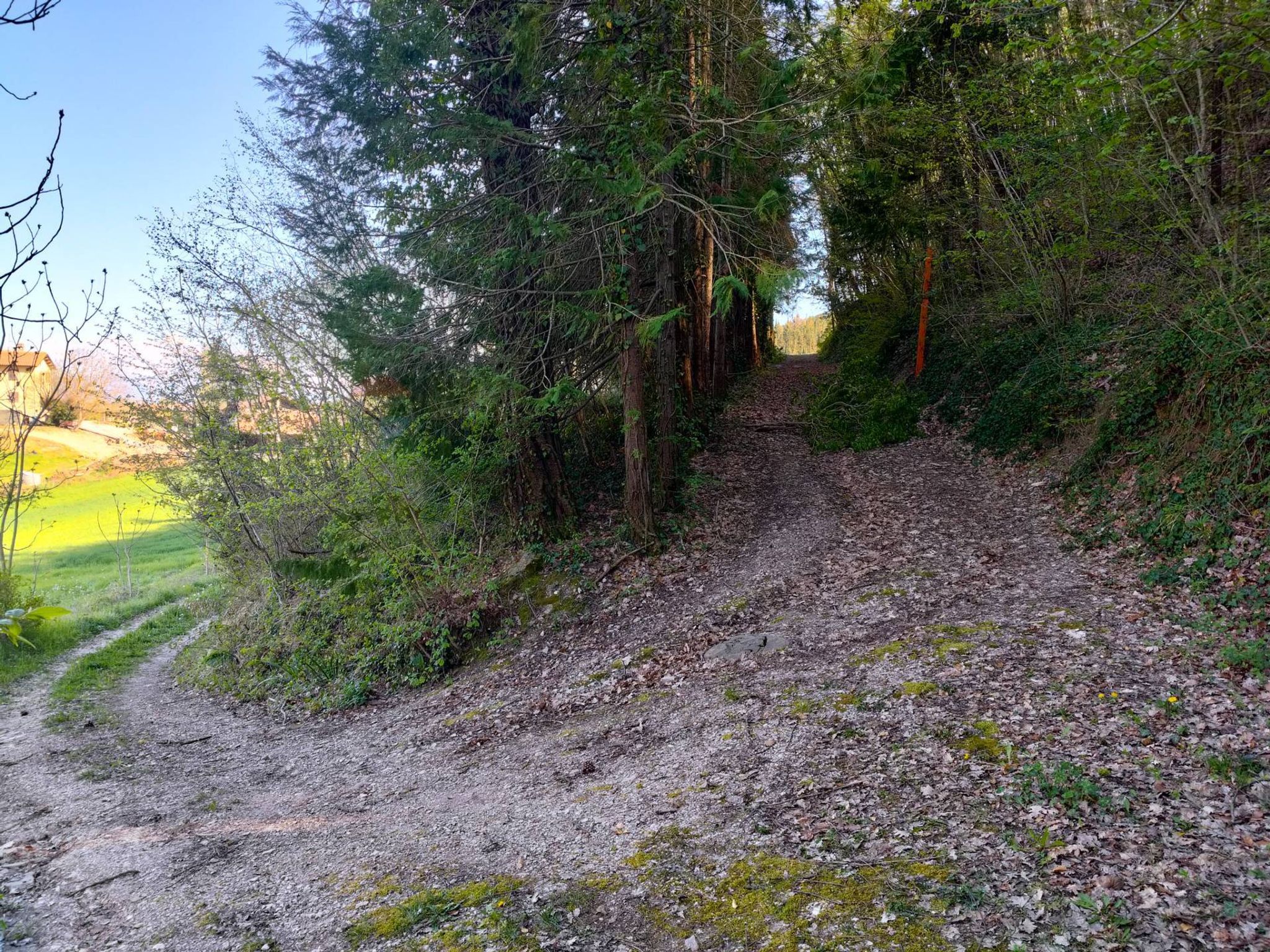 Giardino