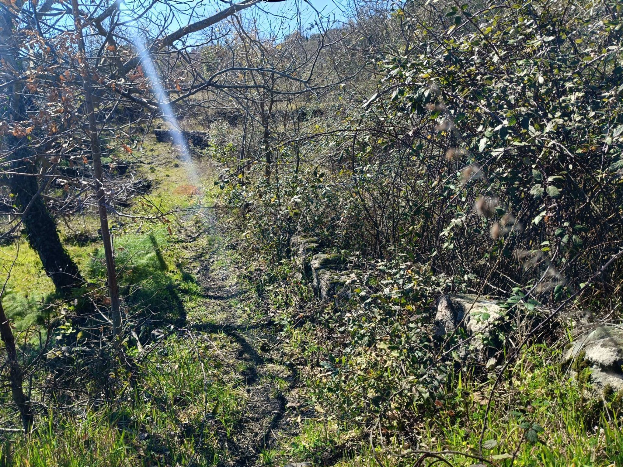 Vista delle montagne