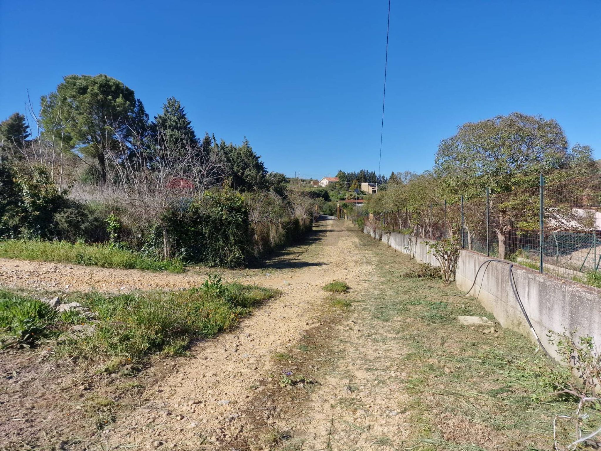 Giardino