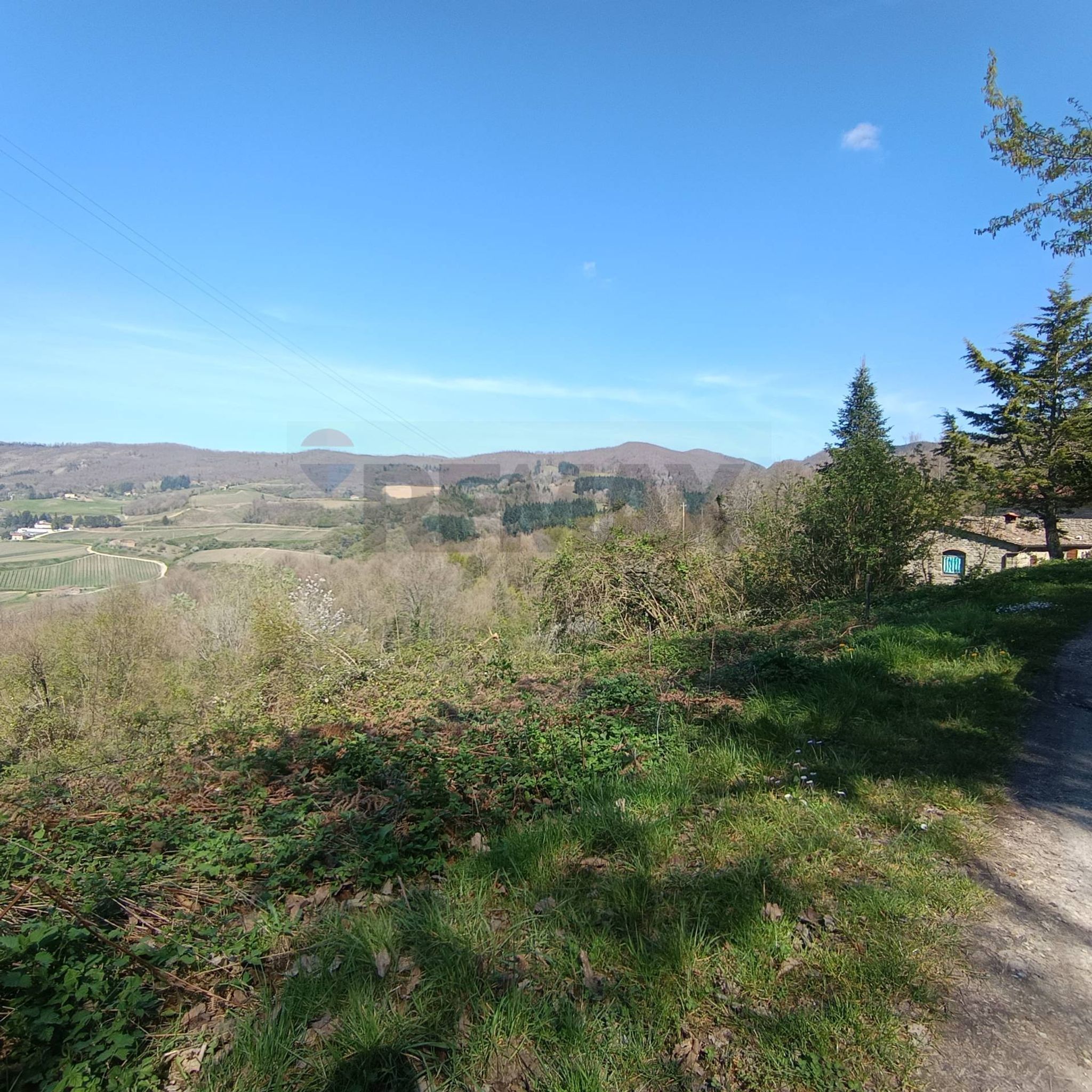 Vista delle montagne