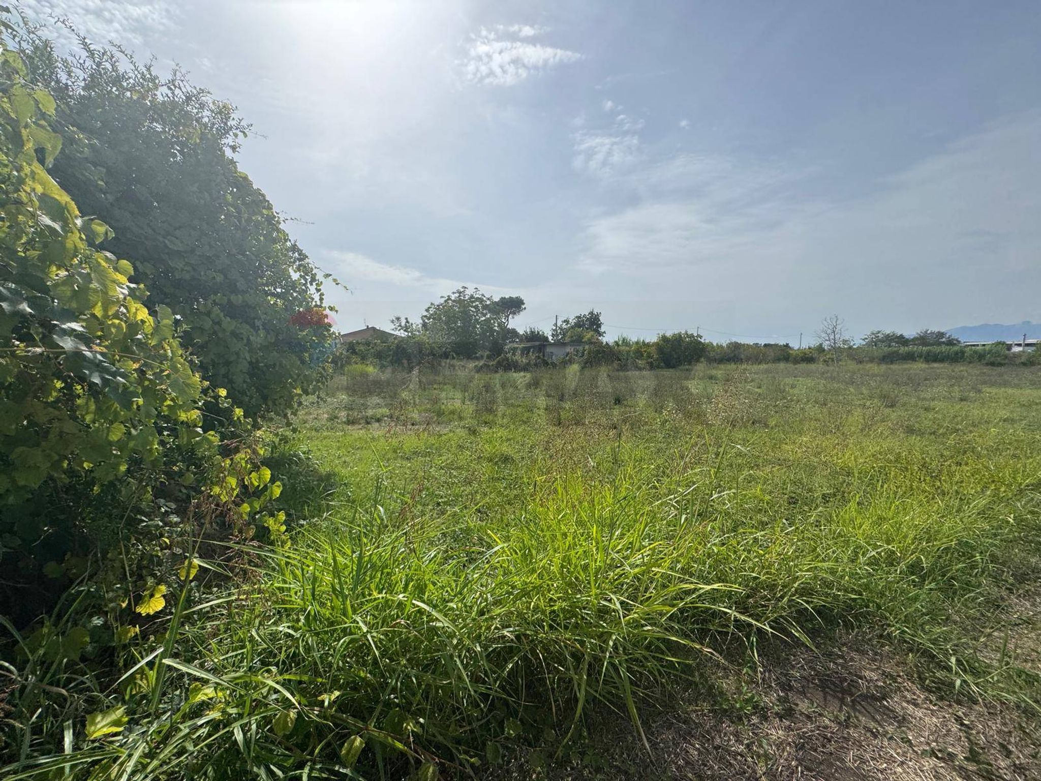 Property in Cellole