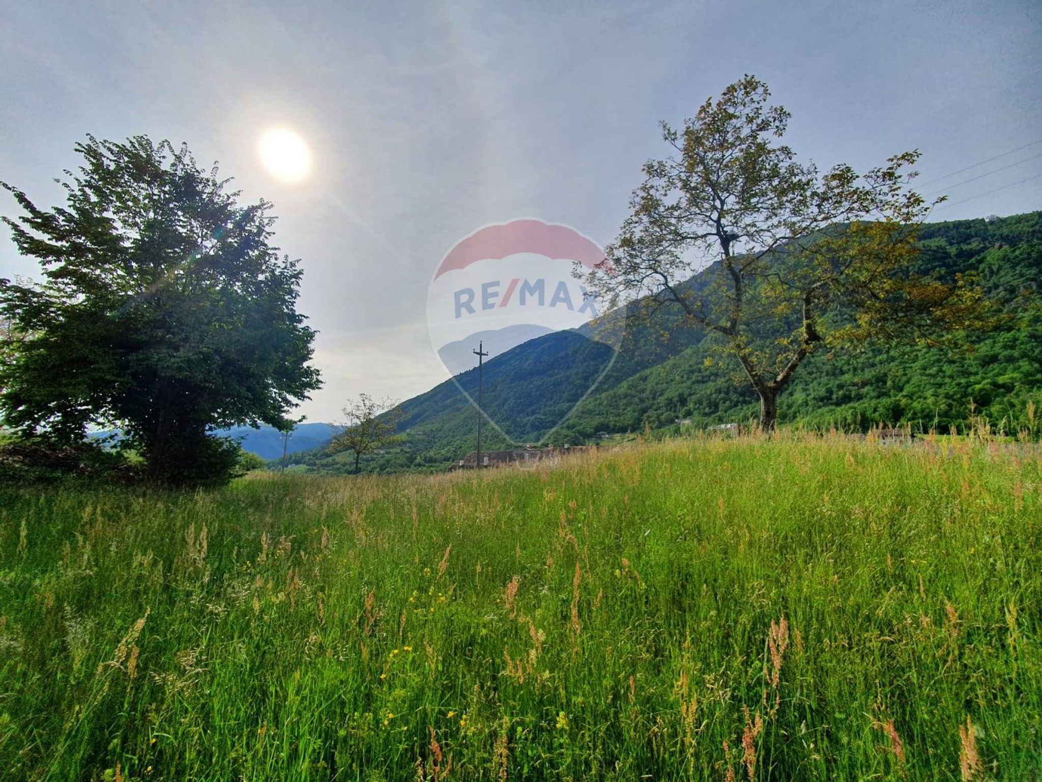 Immobile a Feltre