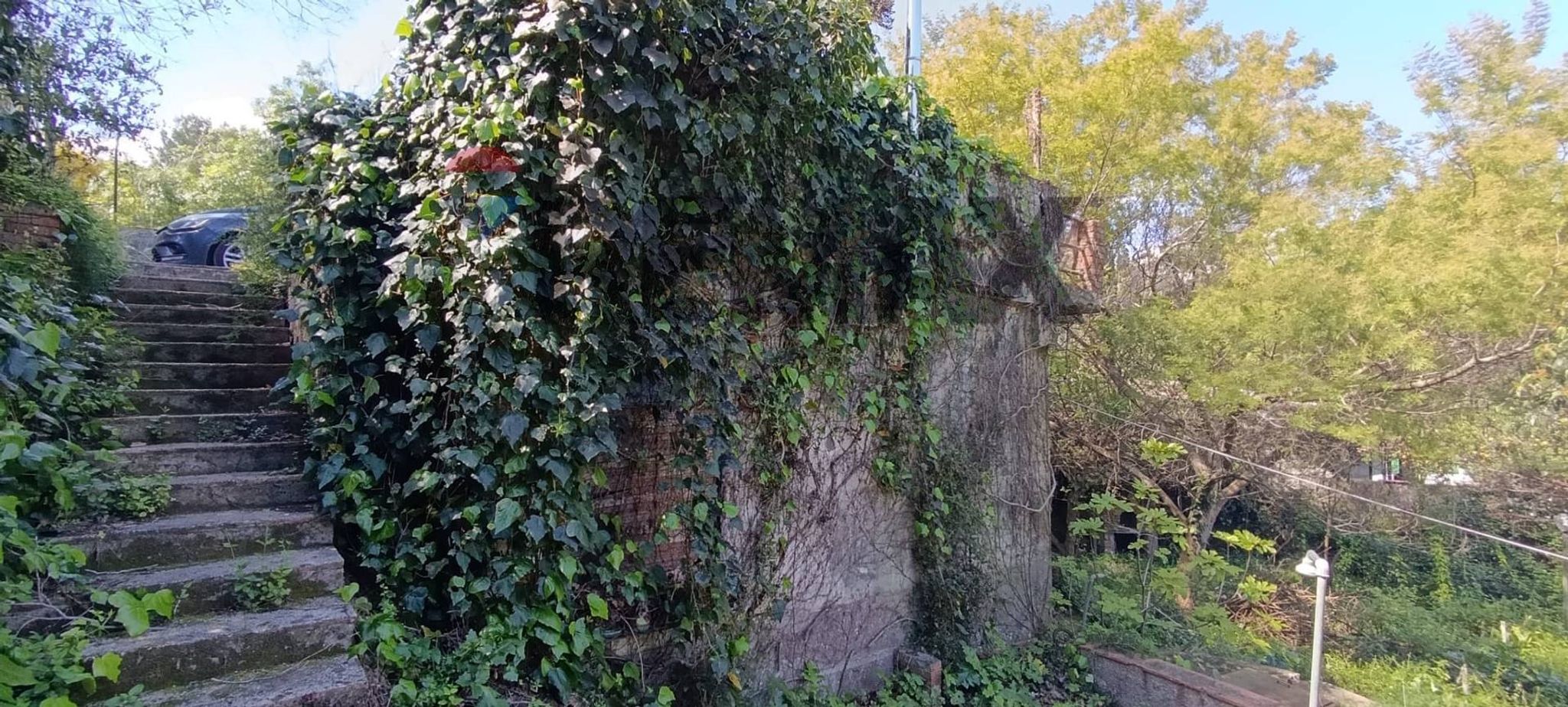 Giardino