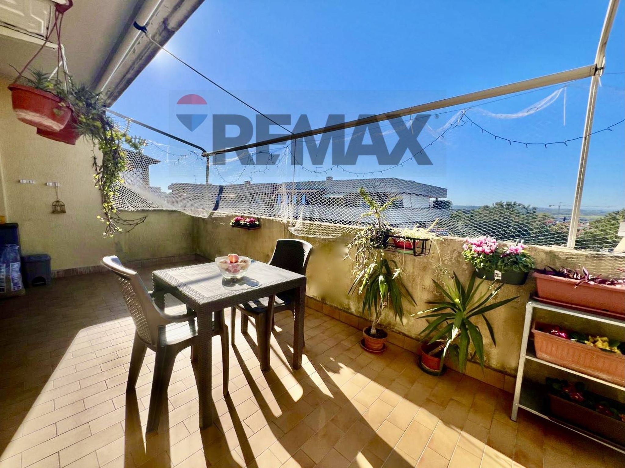 Property in Roma