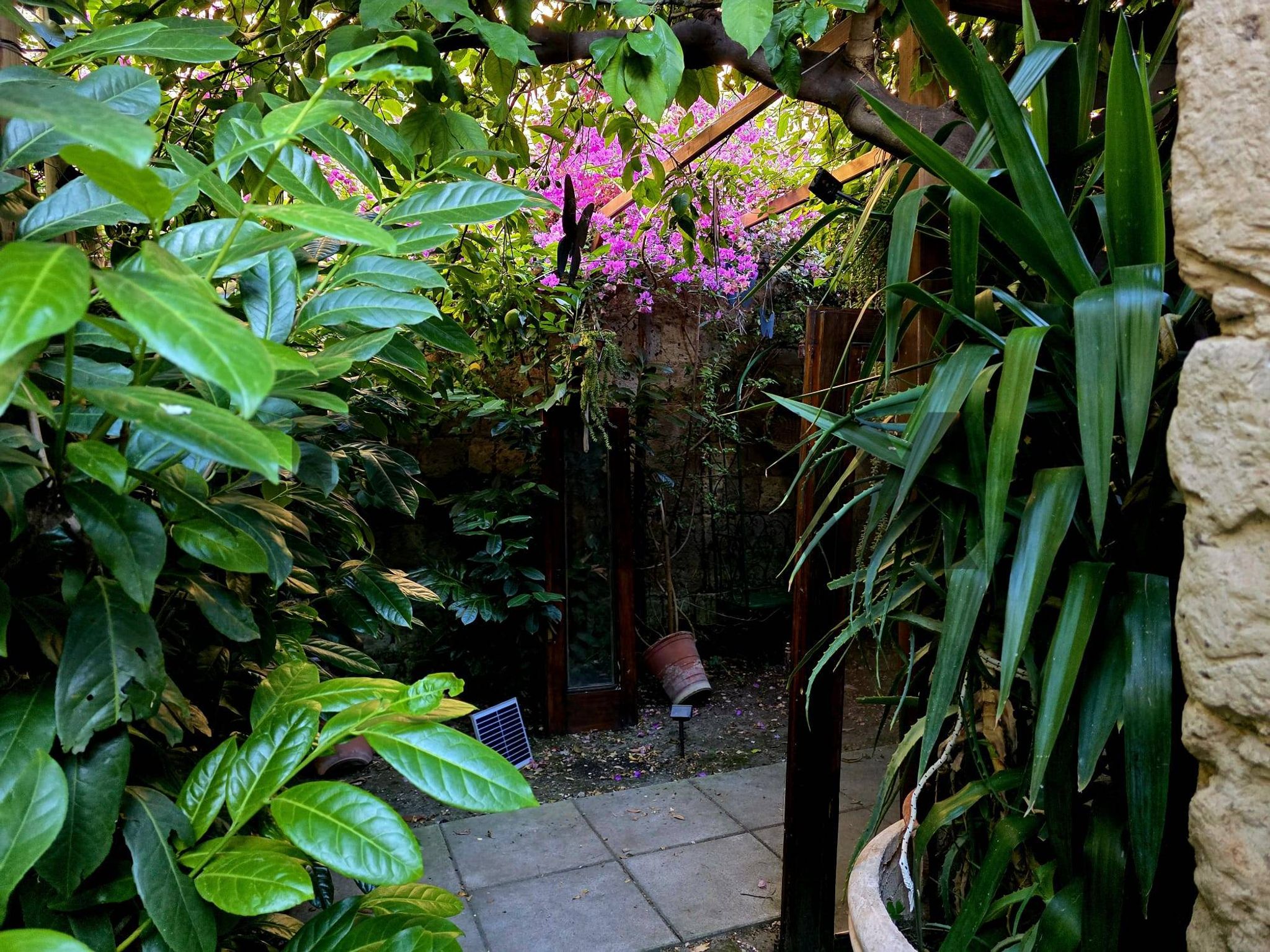 Giardino