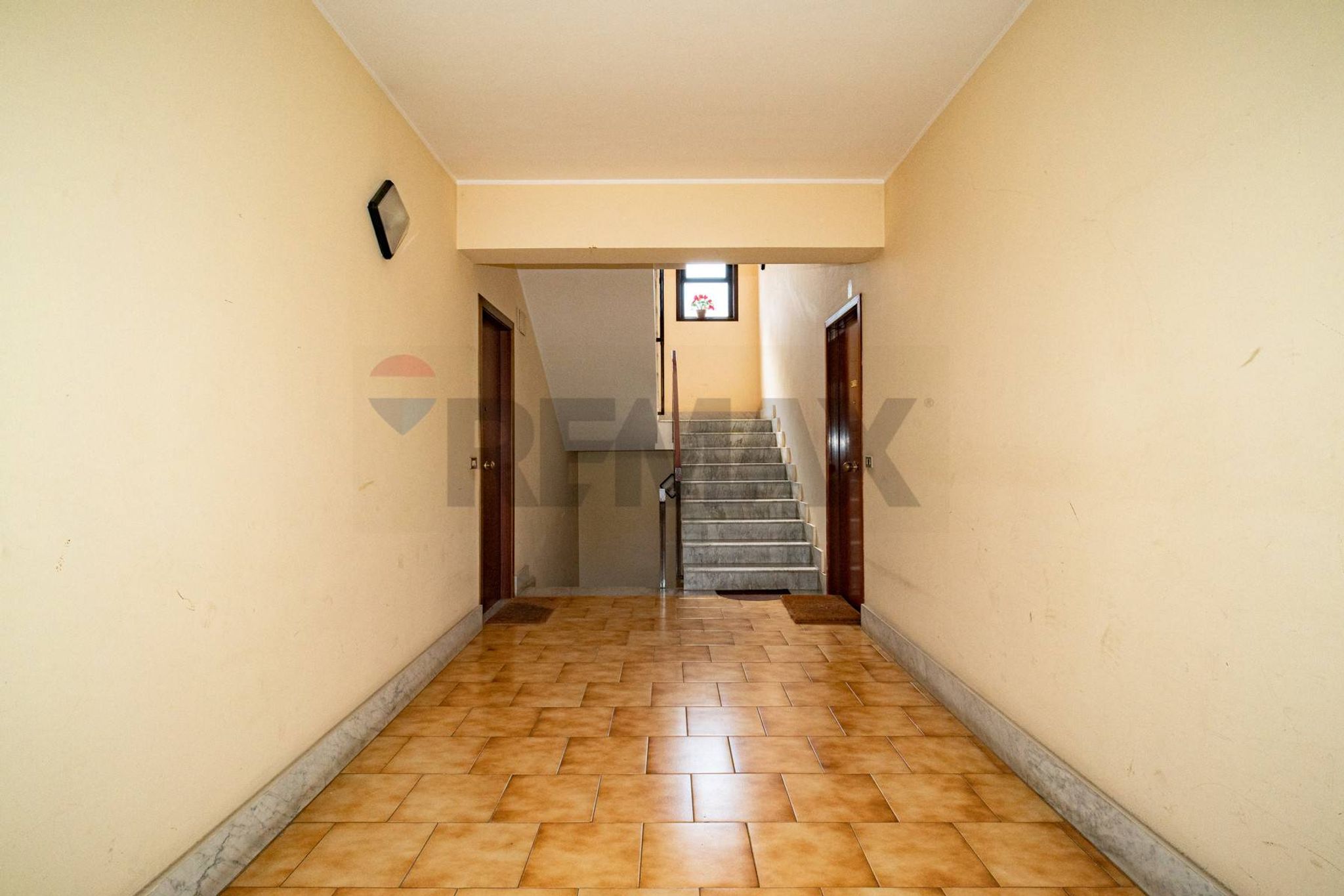 Hall / corridoio