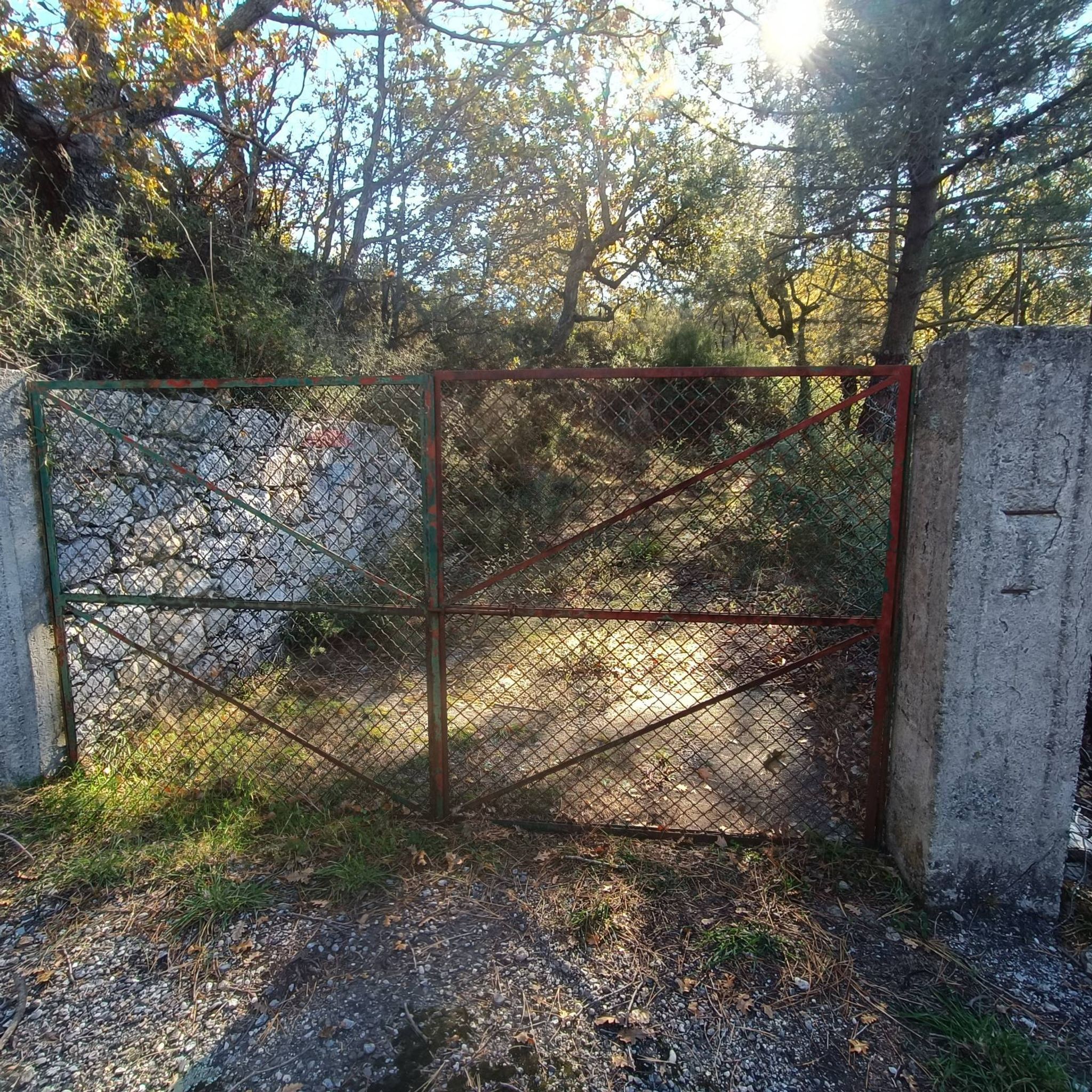 Giardino