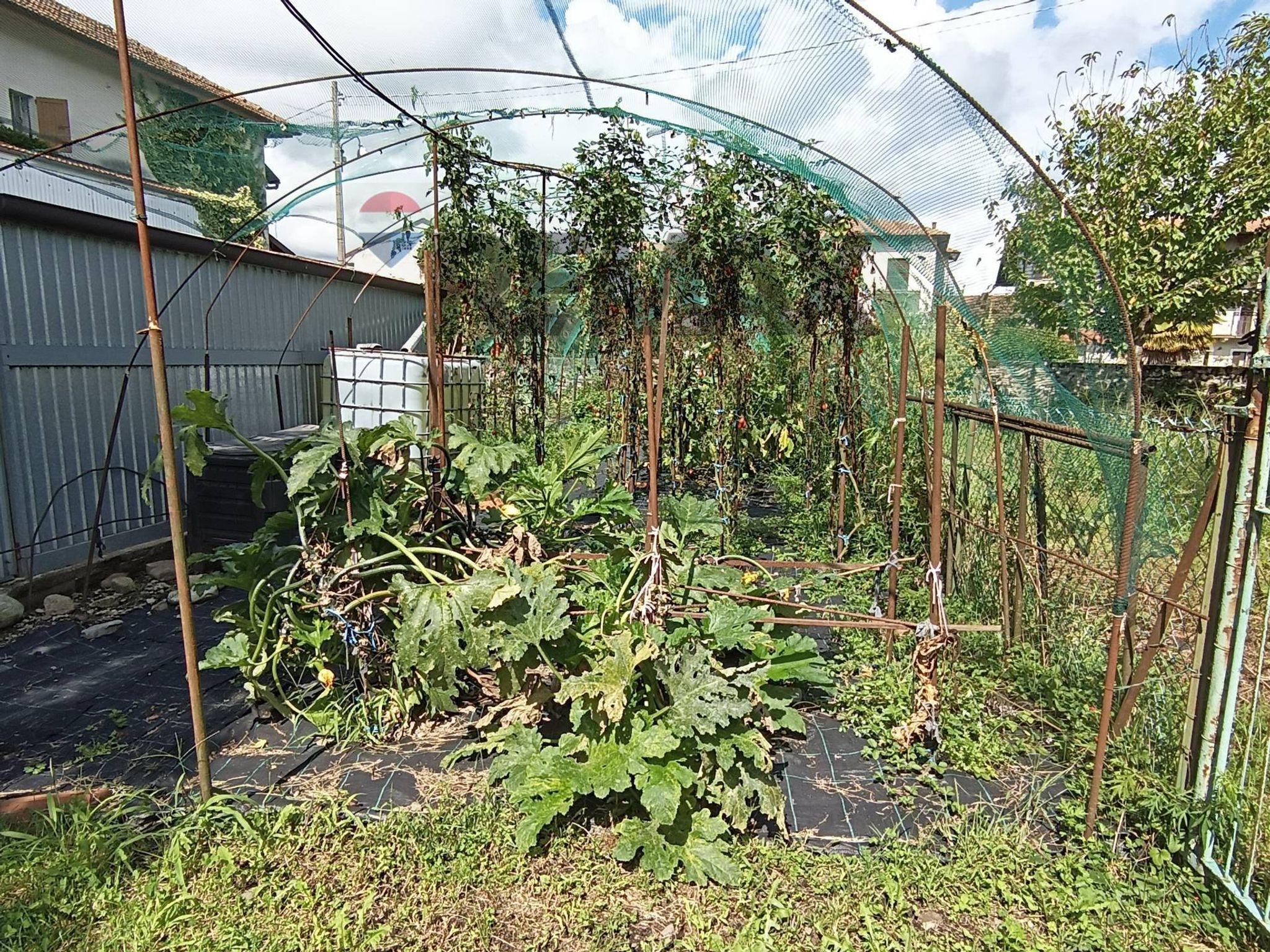 Giardino