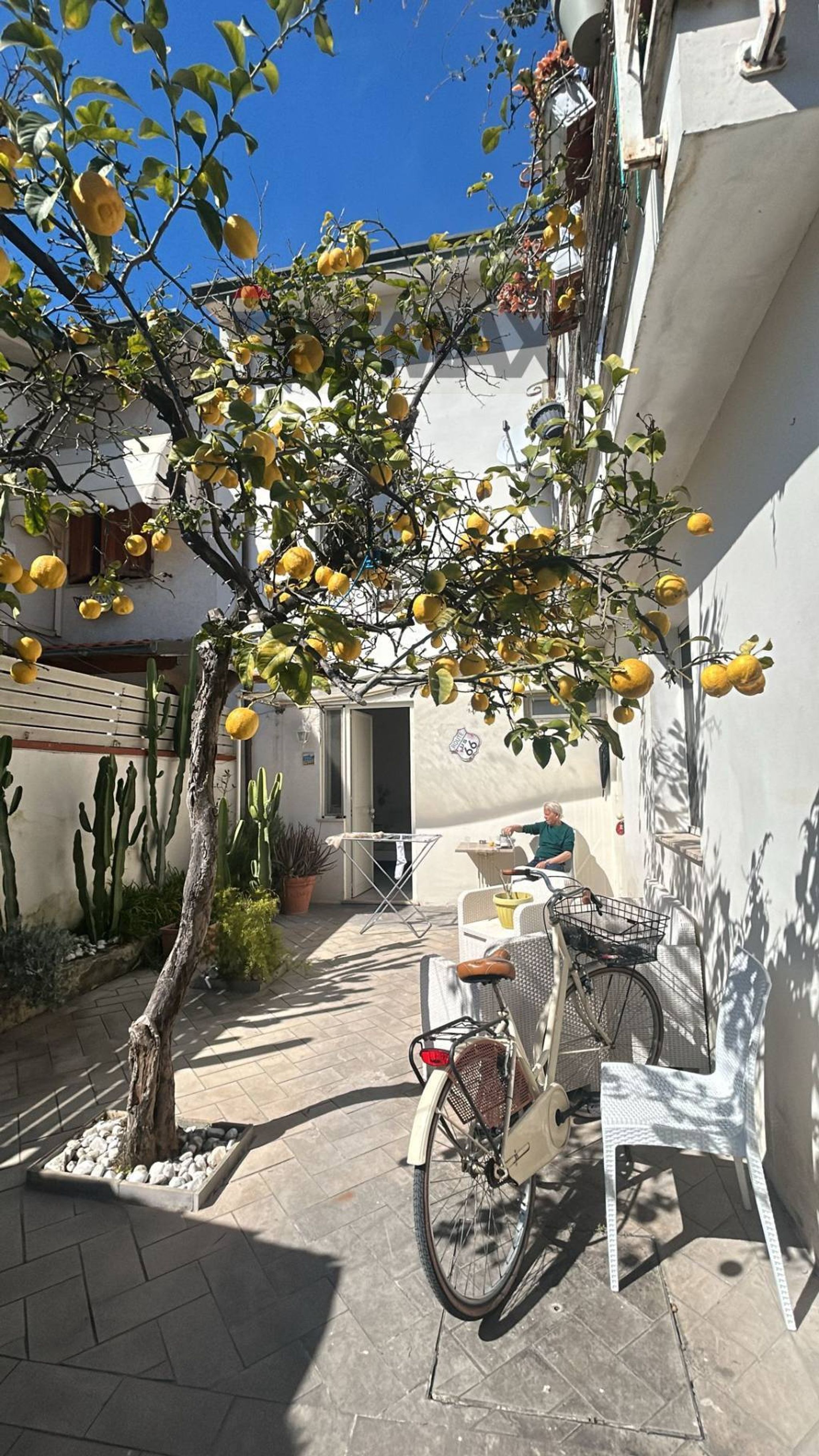 Property in Viareggio