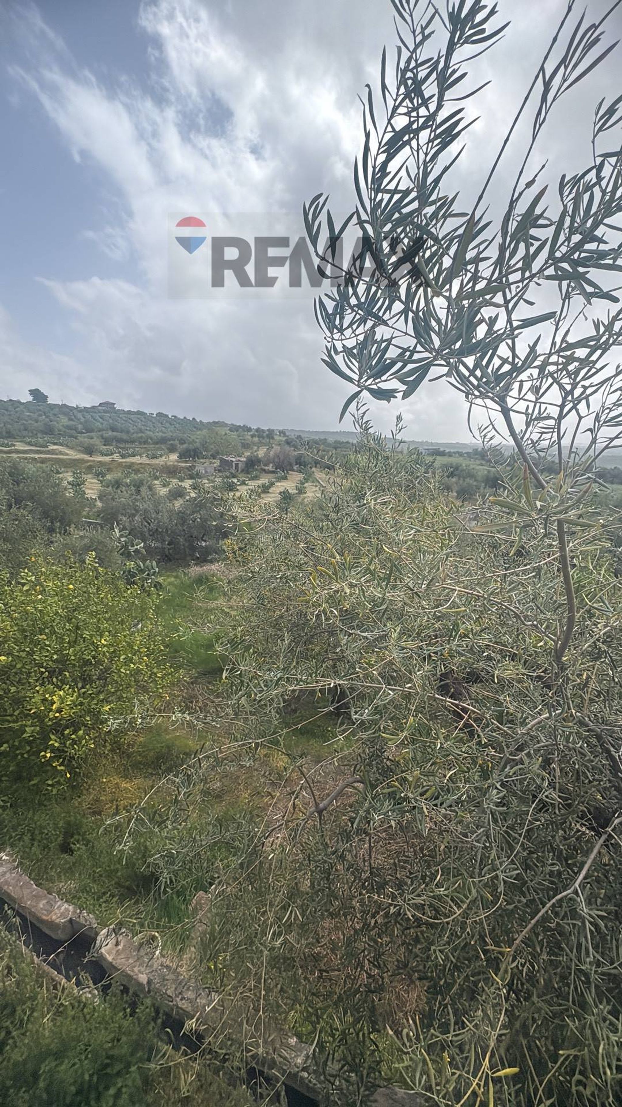Vista delle montagne