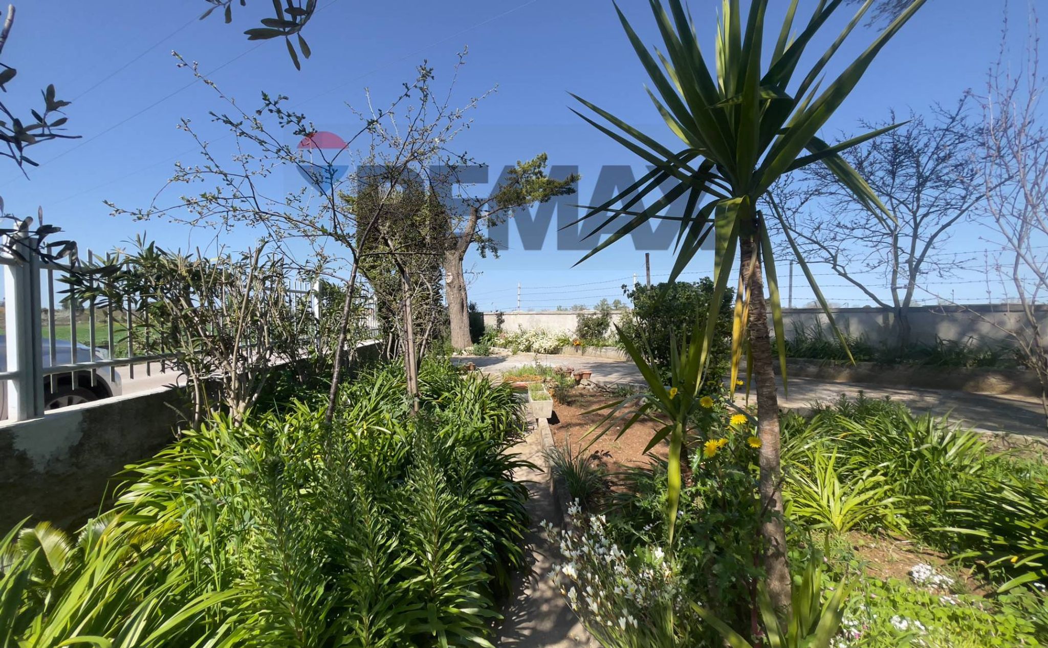 Giardino