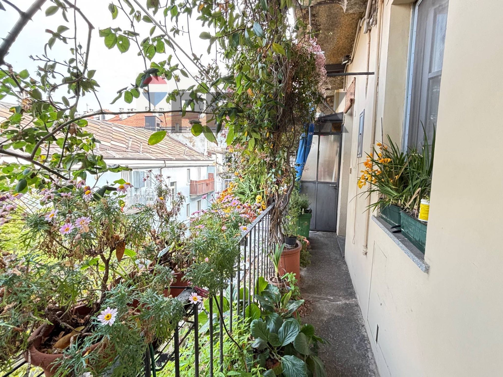 Balcone