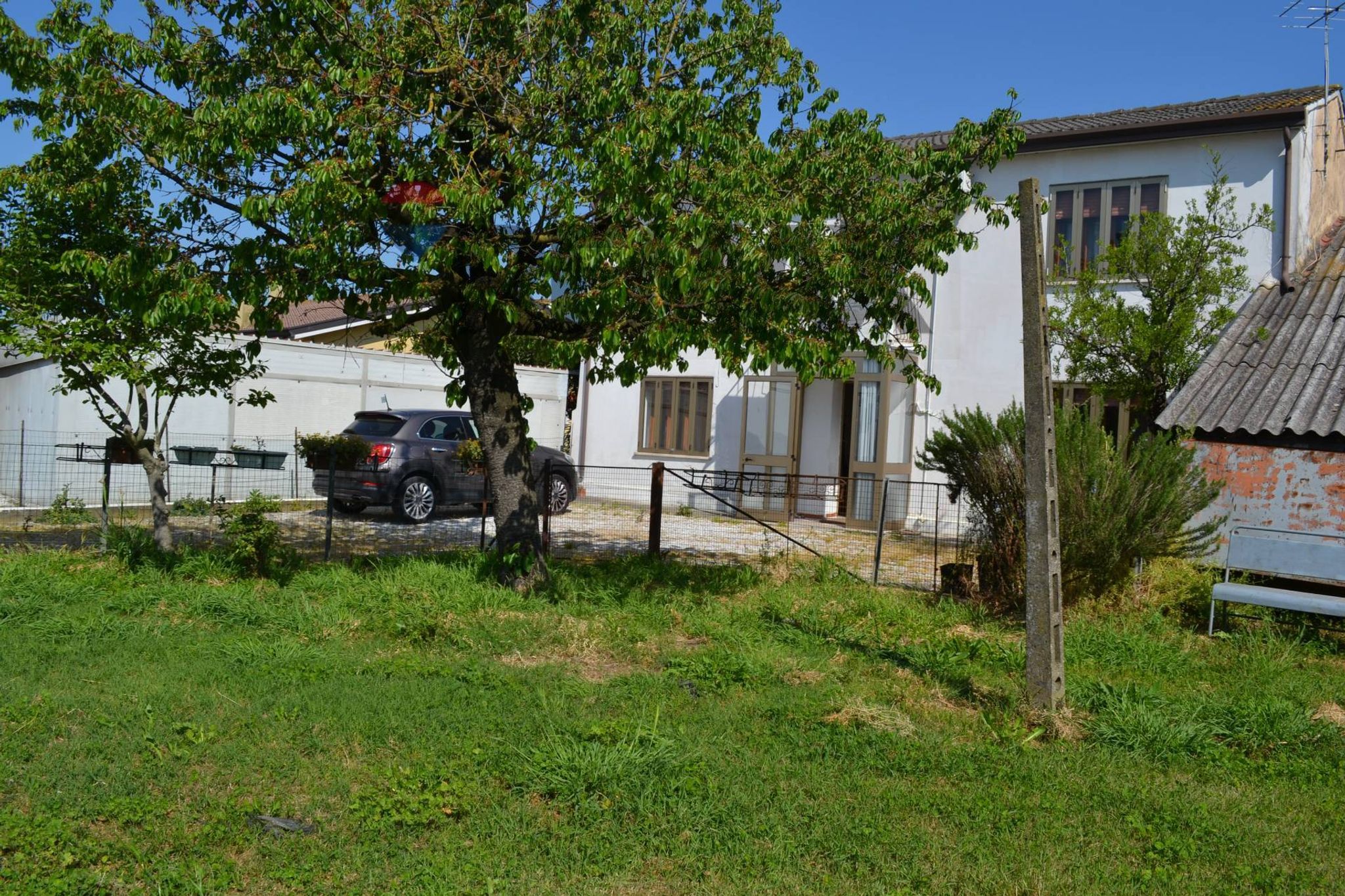 Giardino