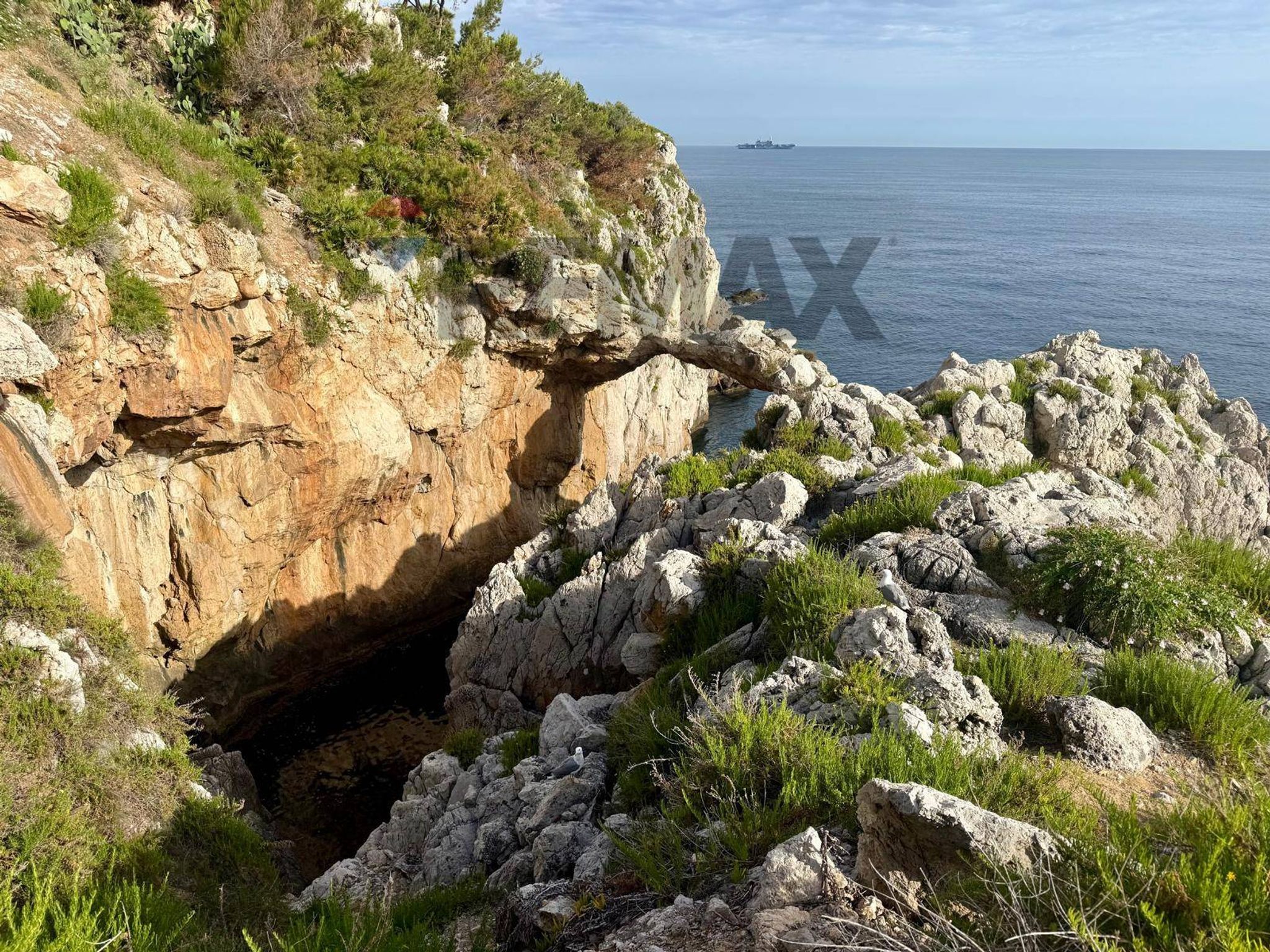 Vista dell'acqua
