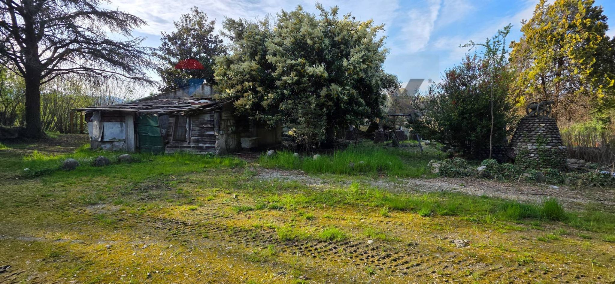 Giardino
