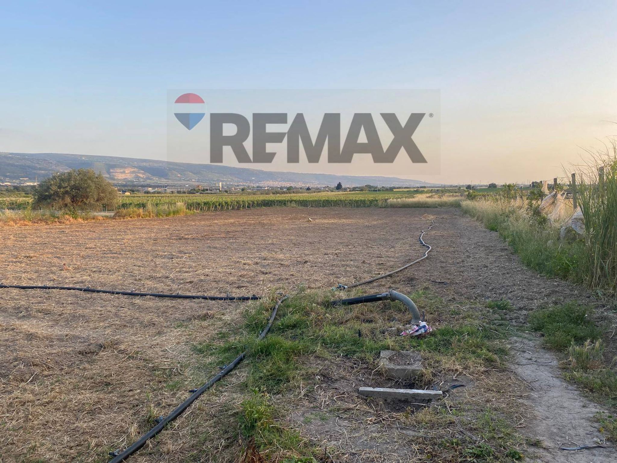 Property in Chiaramonte Gulfi
