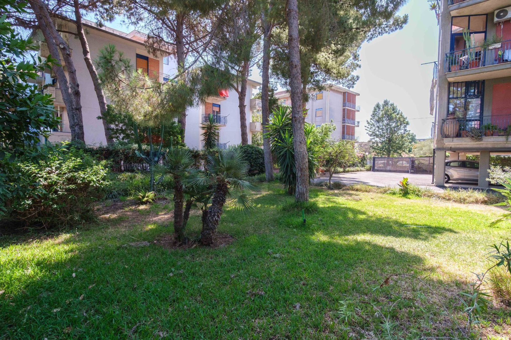 Giardino