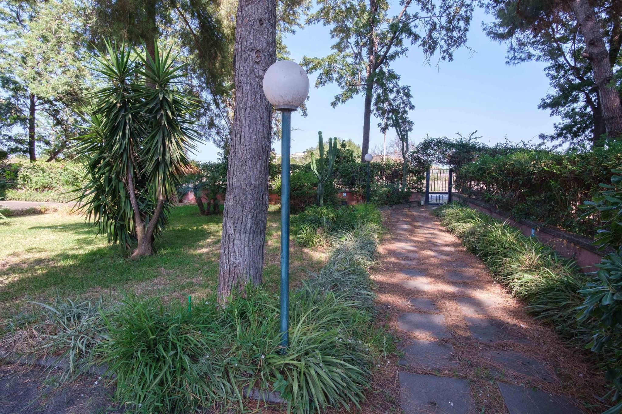 Giardino