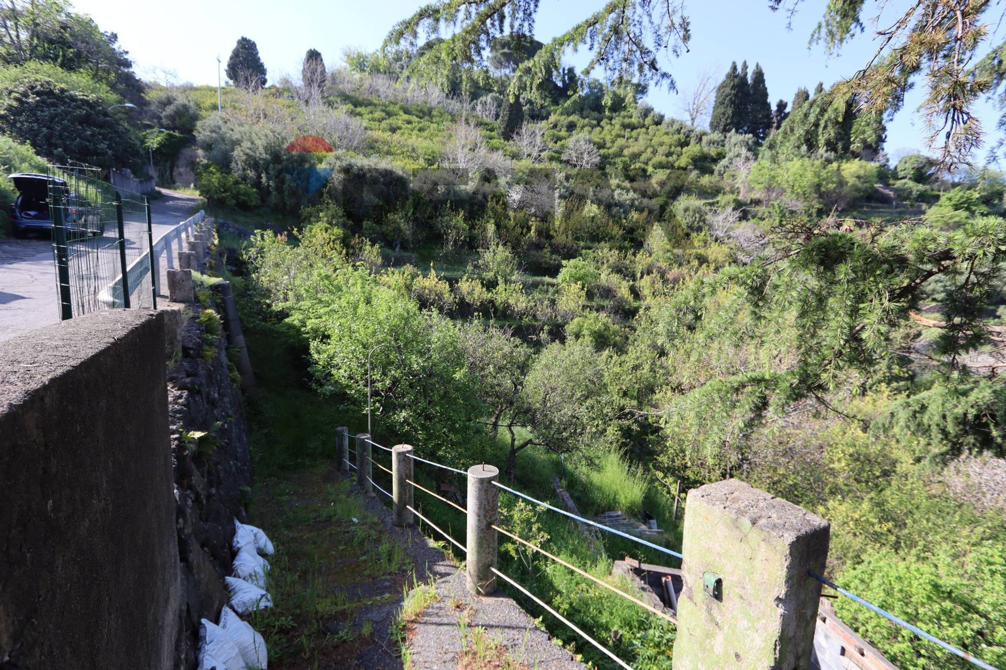 Giardino
