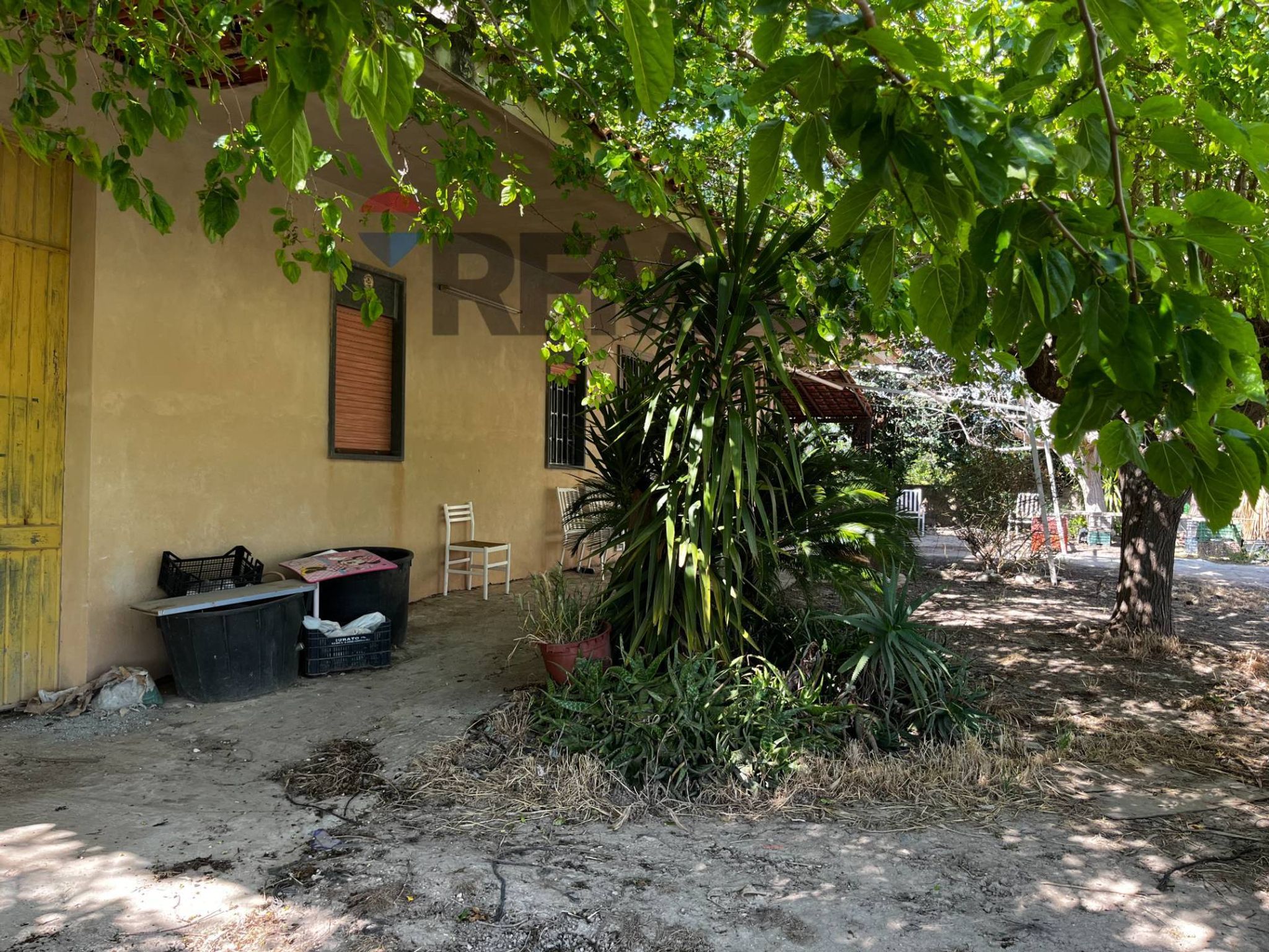 Giardino