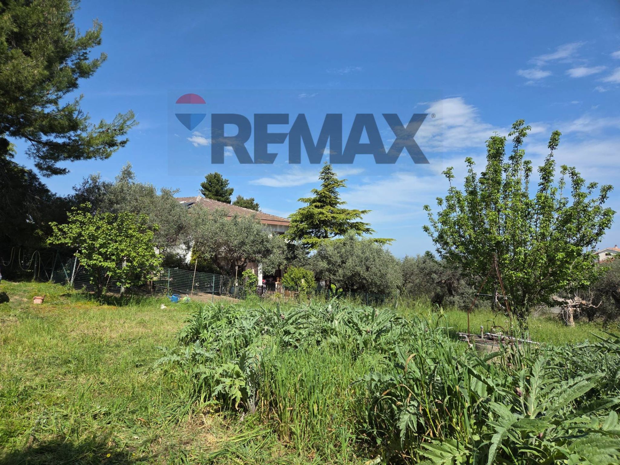 Giardino
