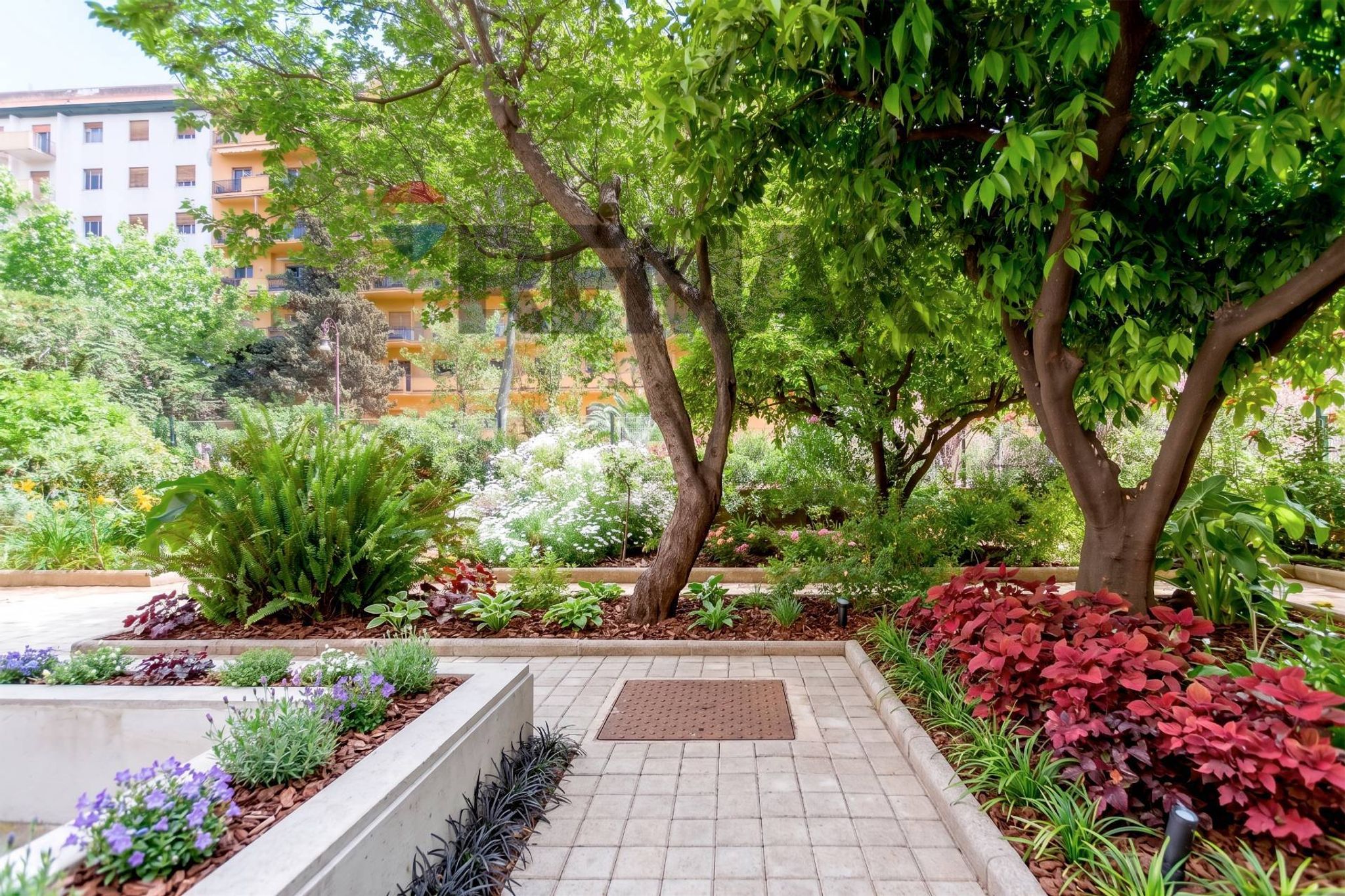 Giardino