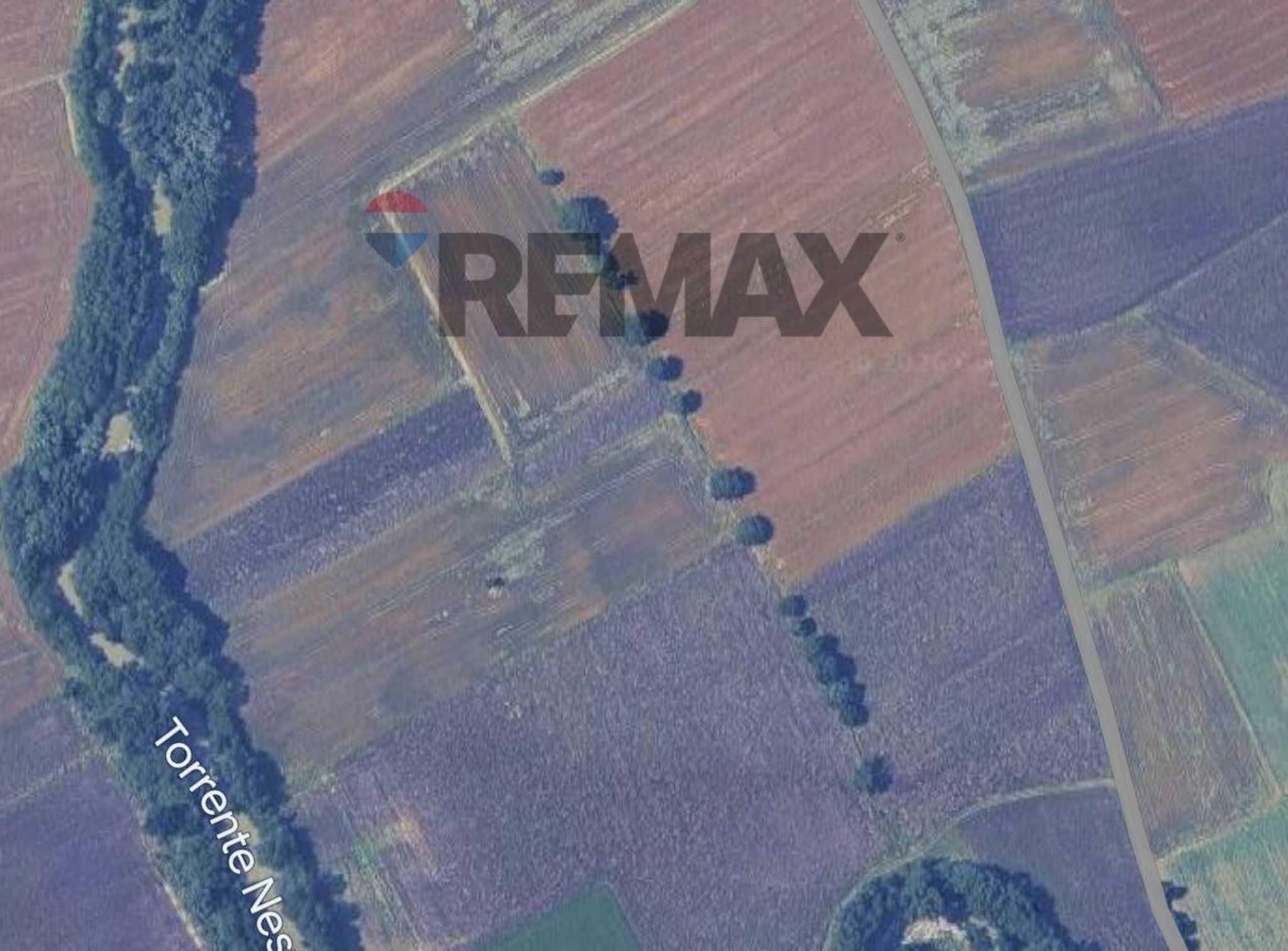 Property in Marsciano