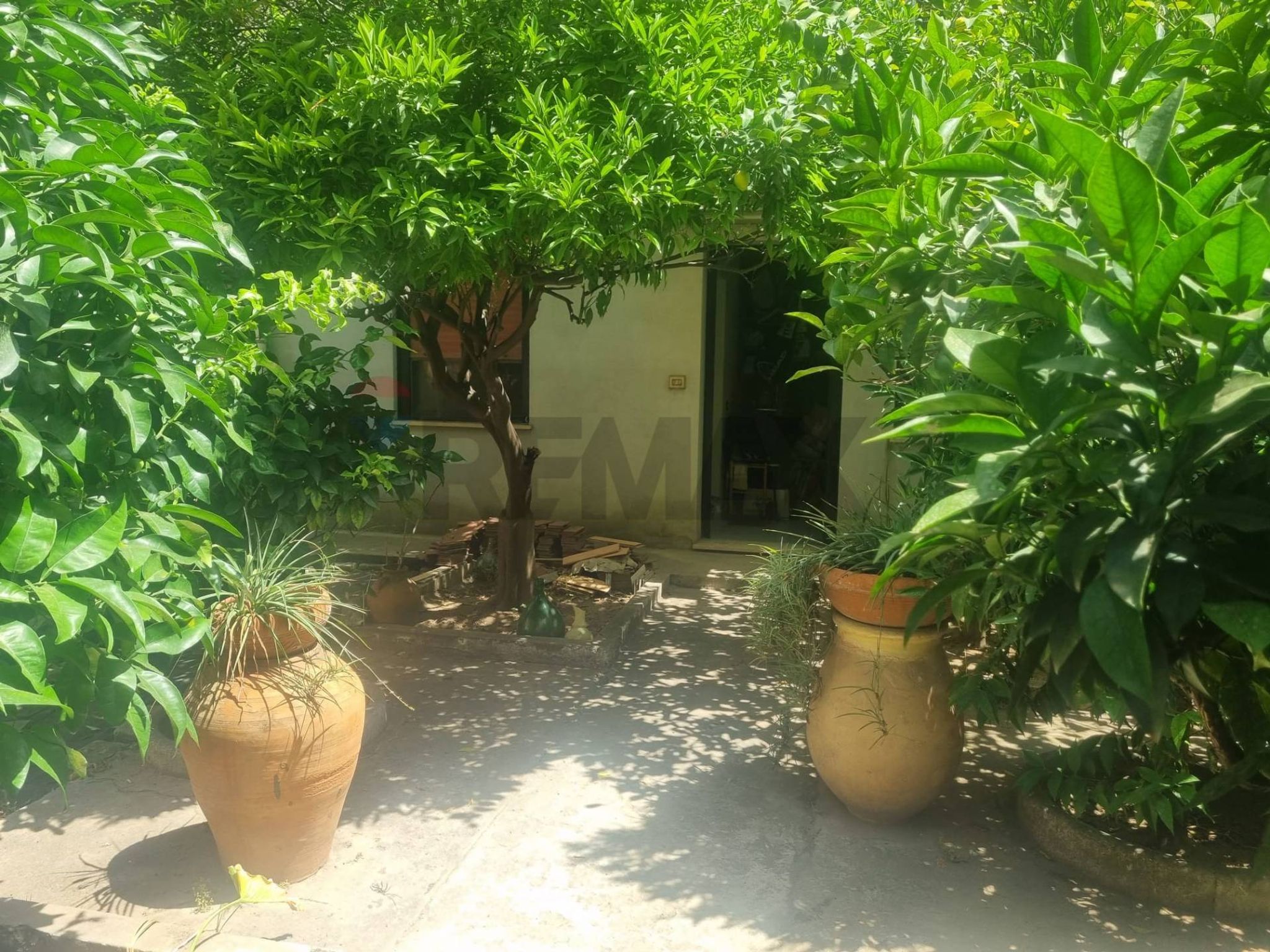 Giardino