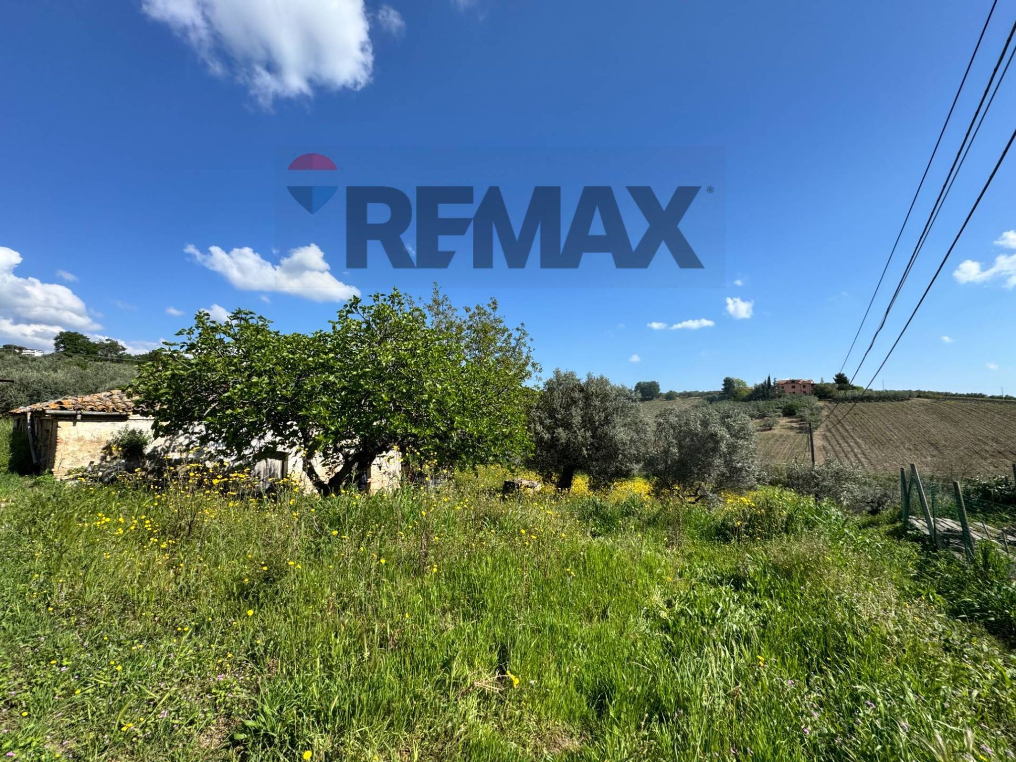 Property in Mozzagrogna