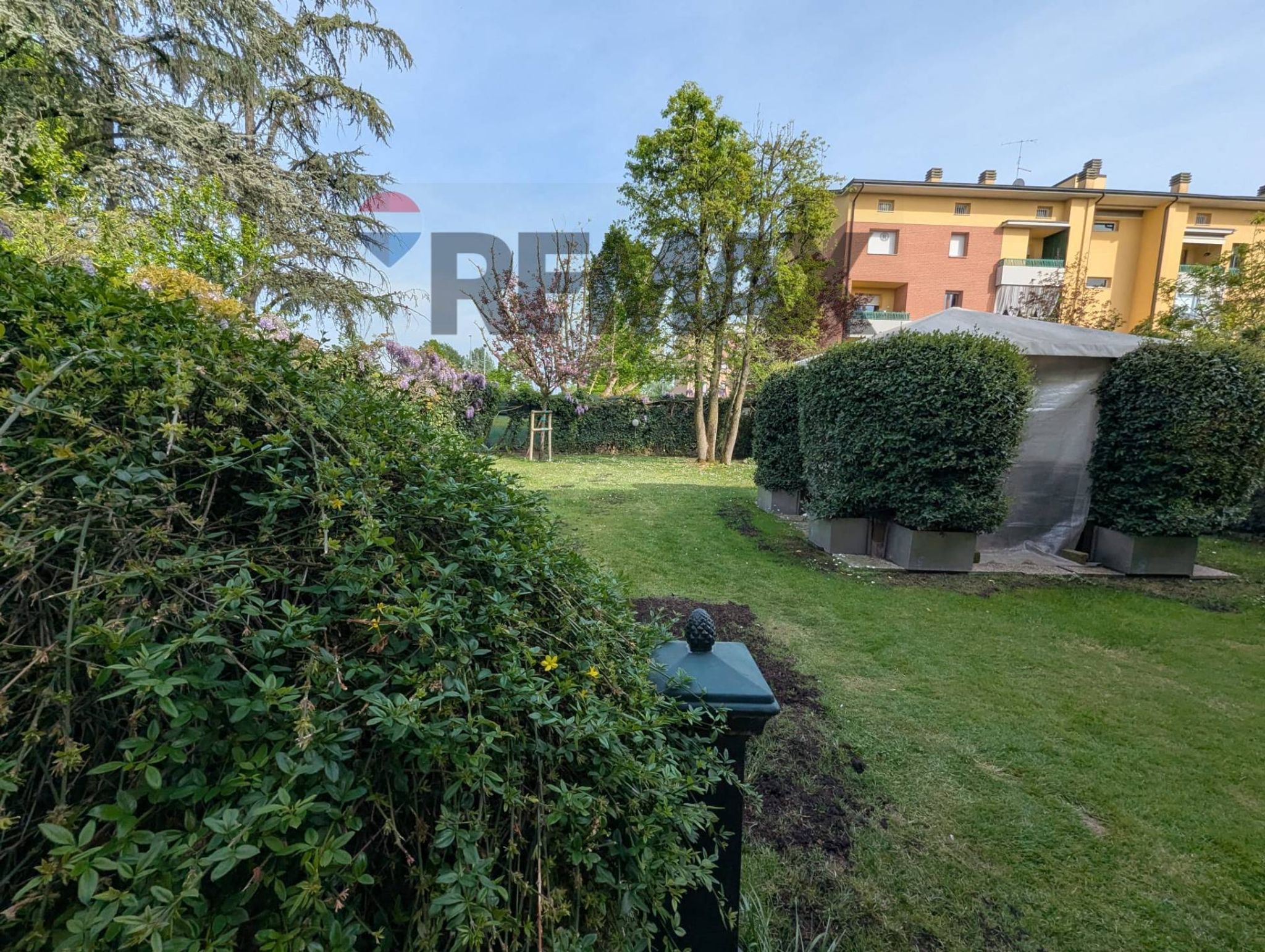 Giardino