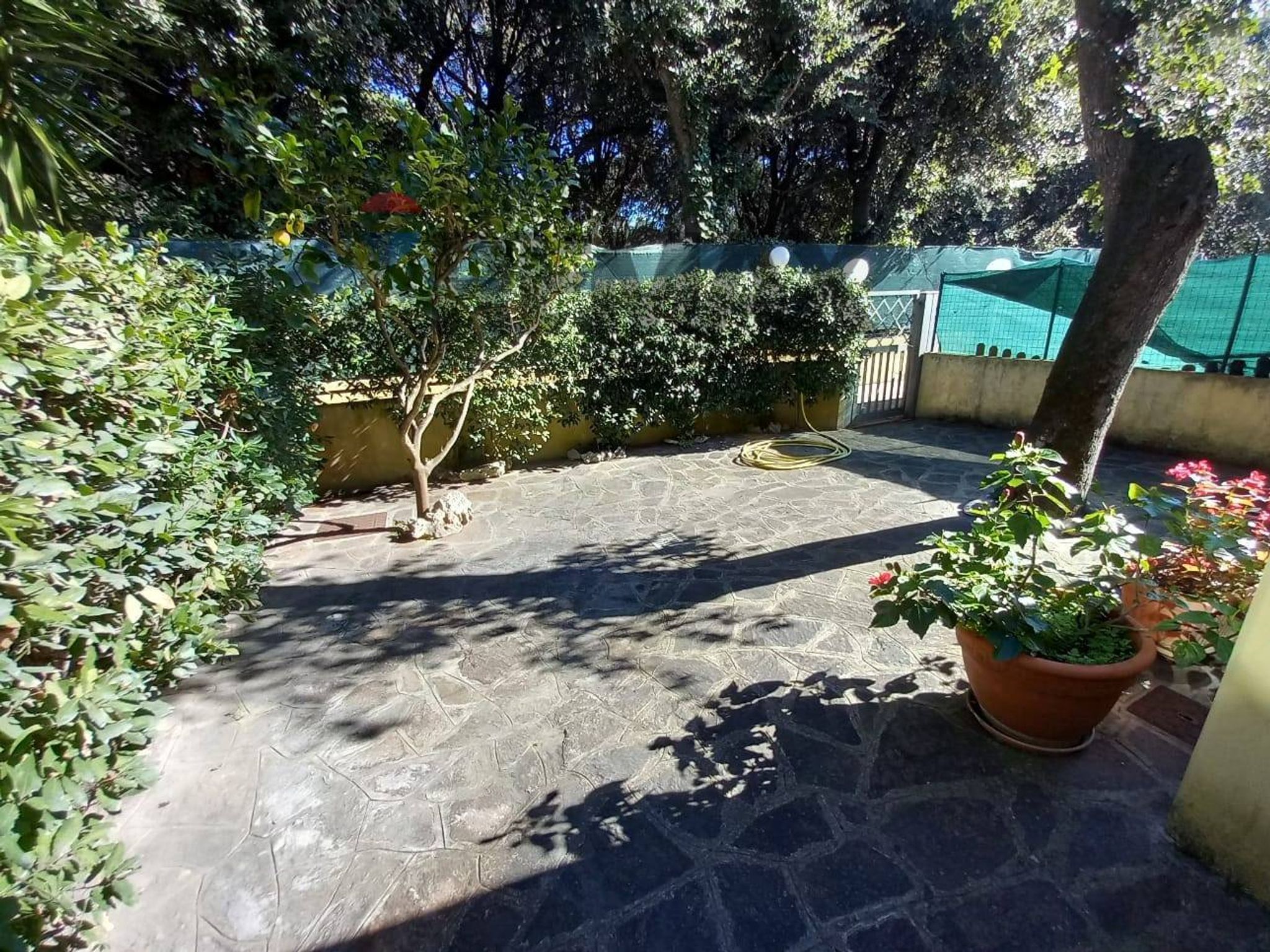 Terrazza