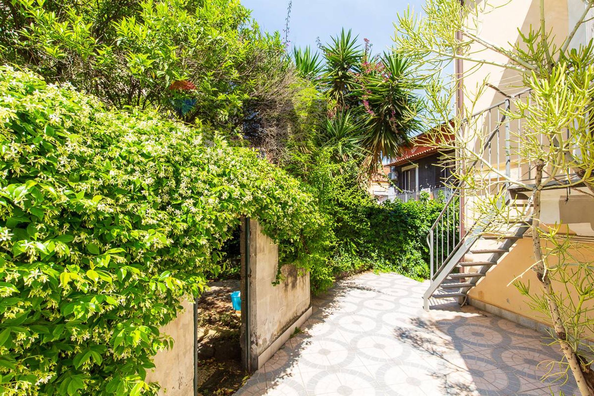 Giardino
