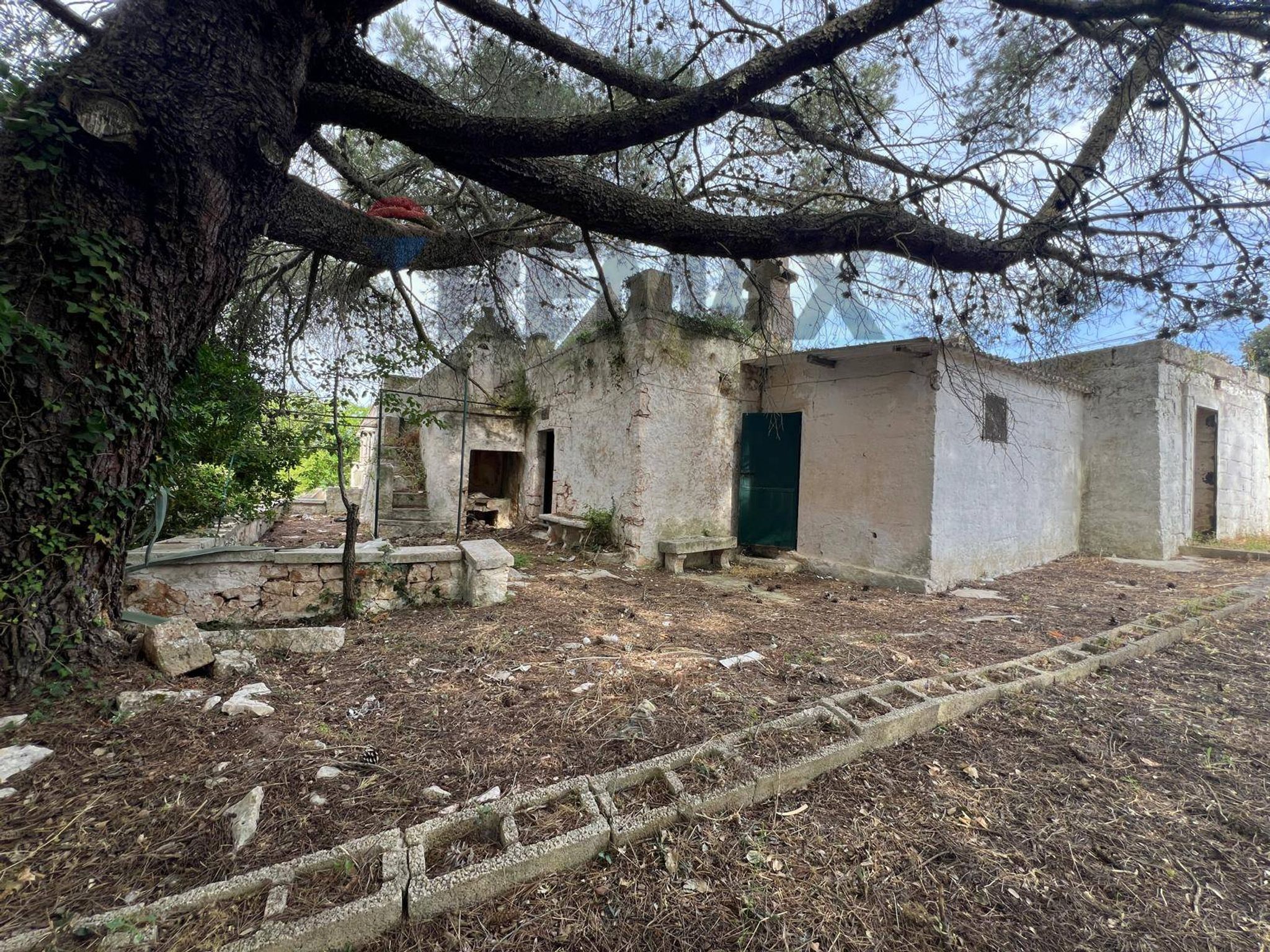 Property in Fasano