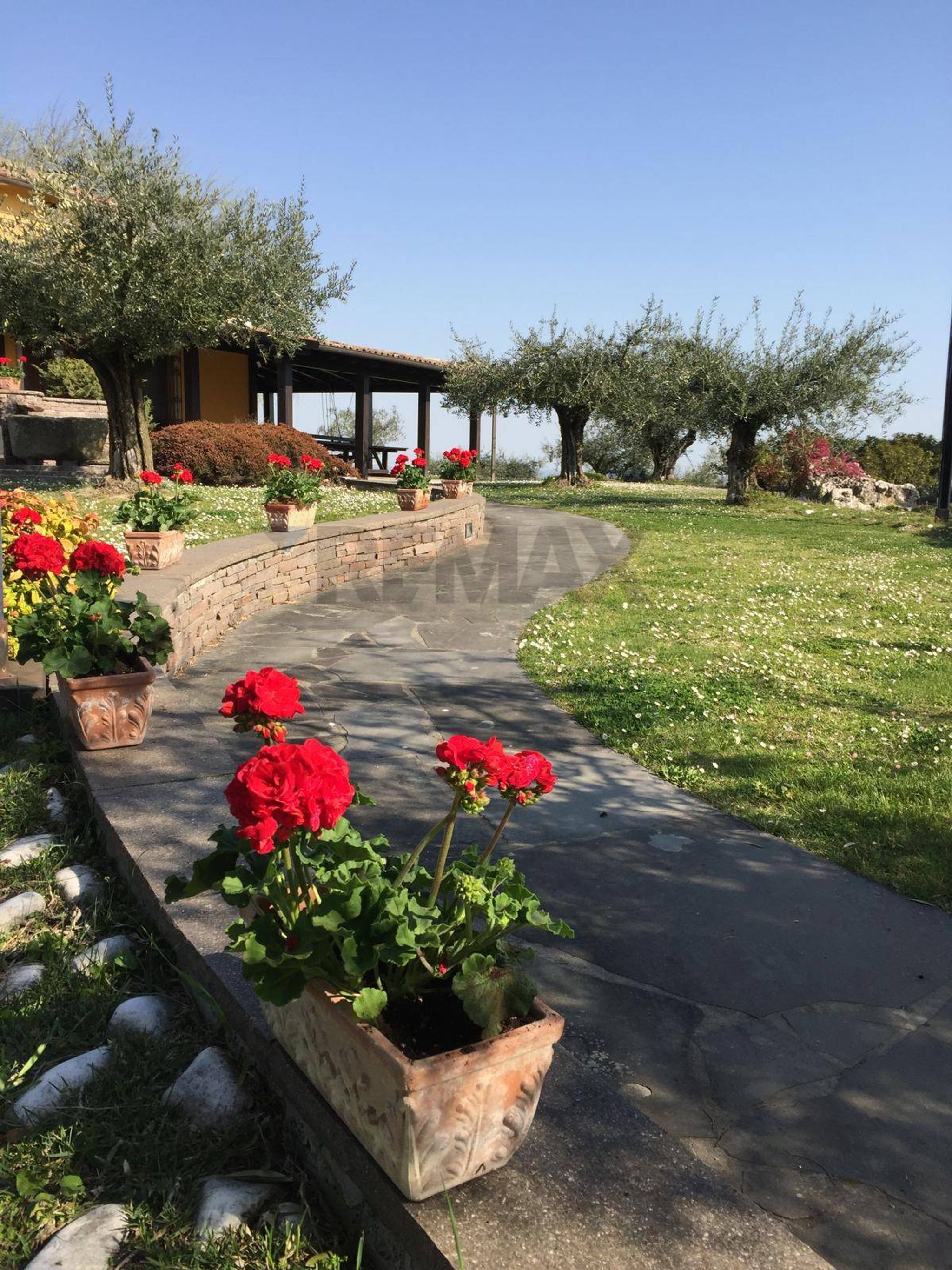 Giardino
