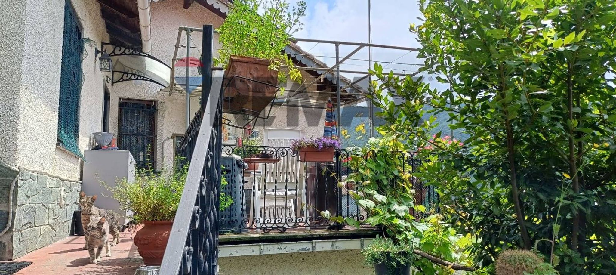 Property in Davagna