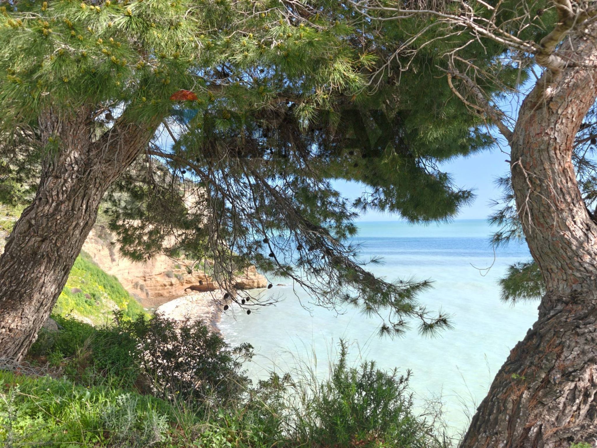 Vista dell'acqua