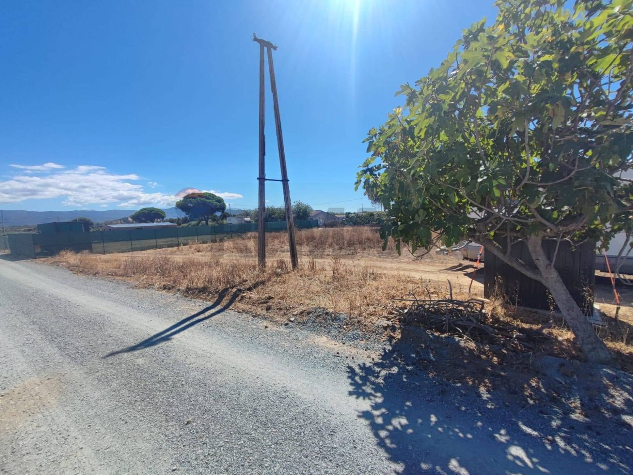Vista 5