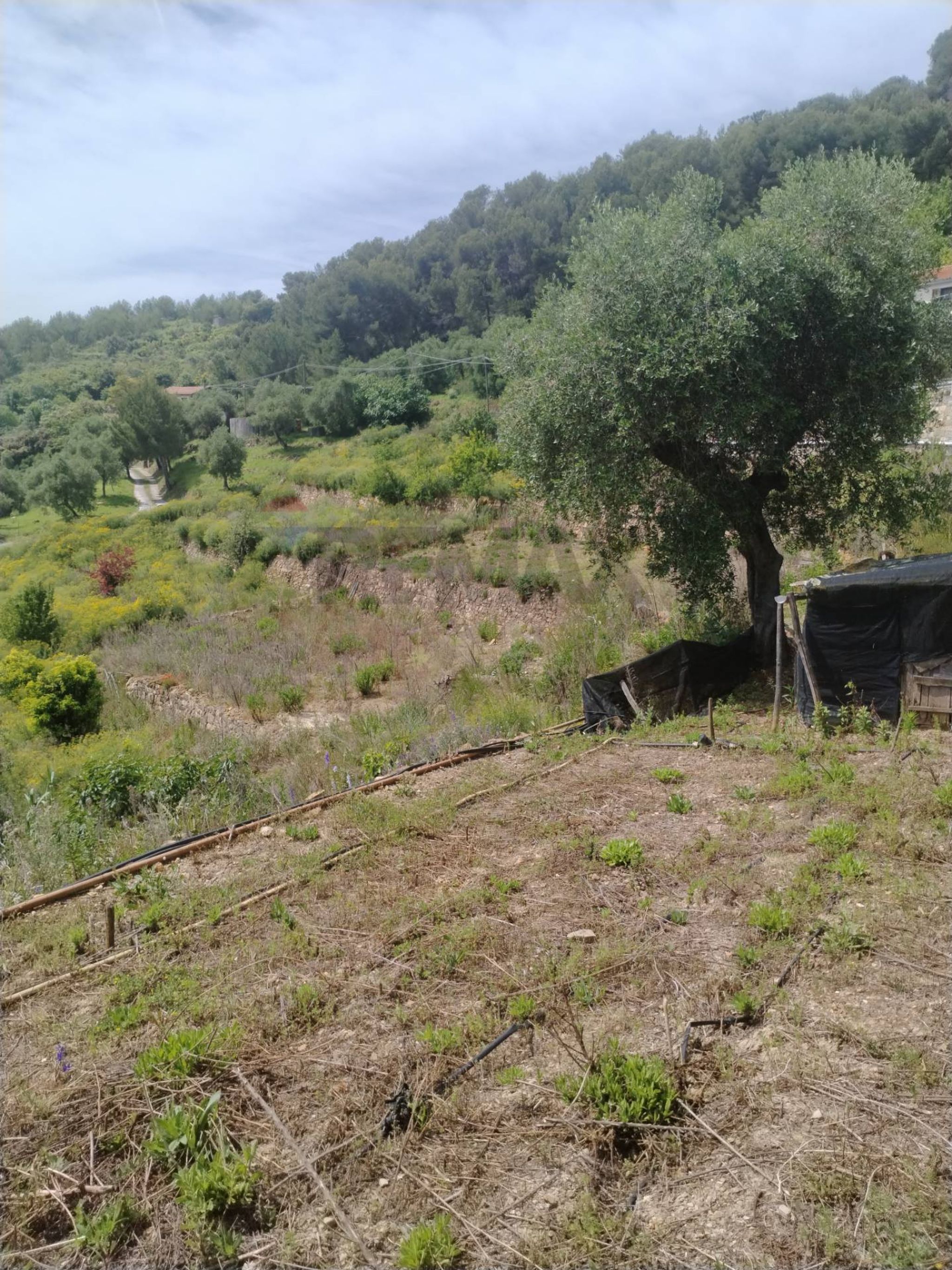 Vista delle montagne