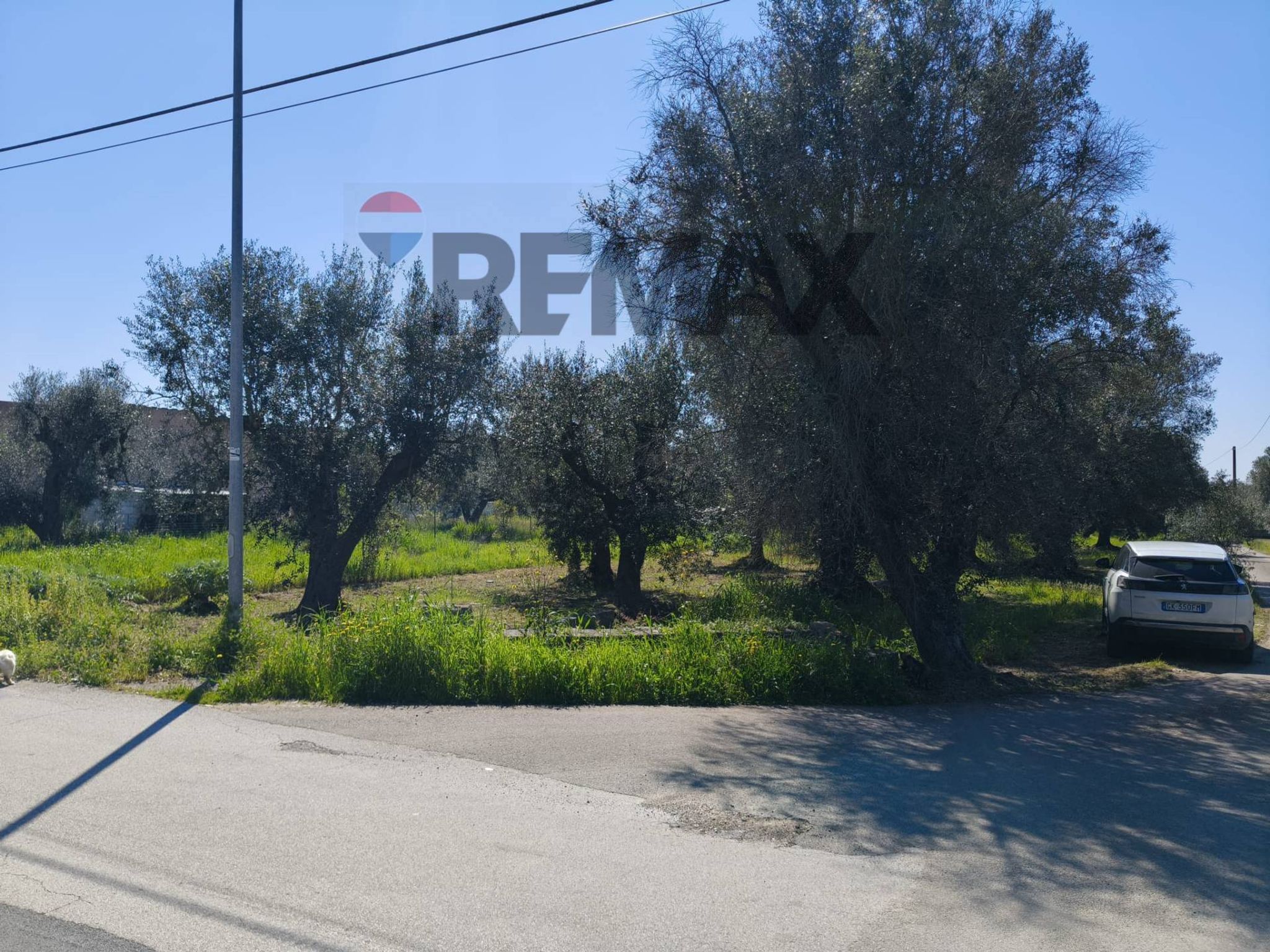Immobile a Monteparano