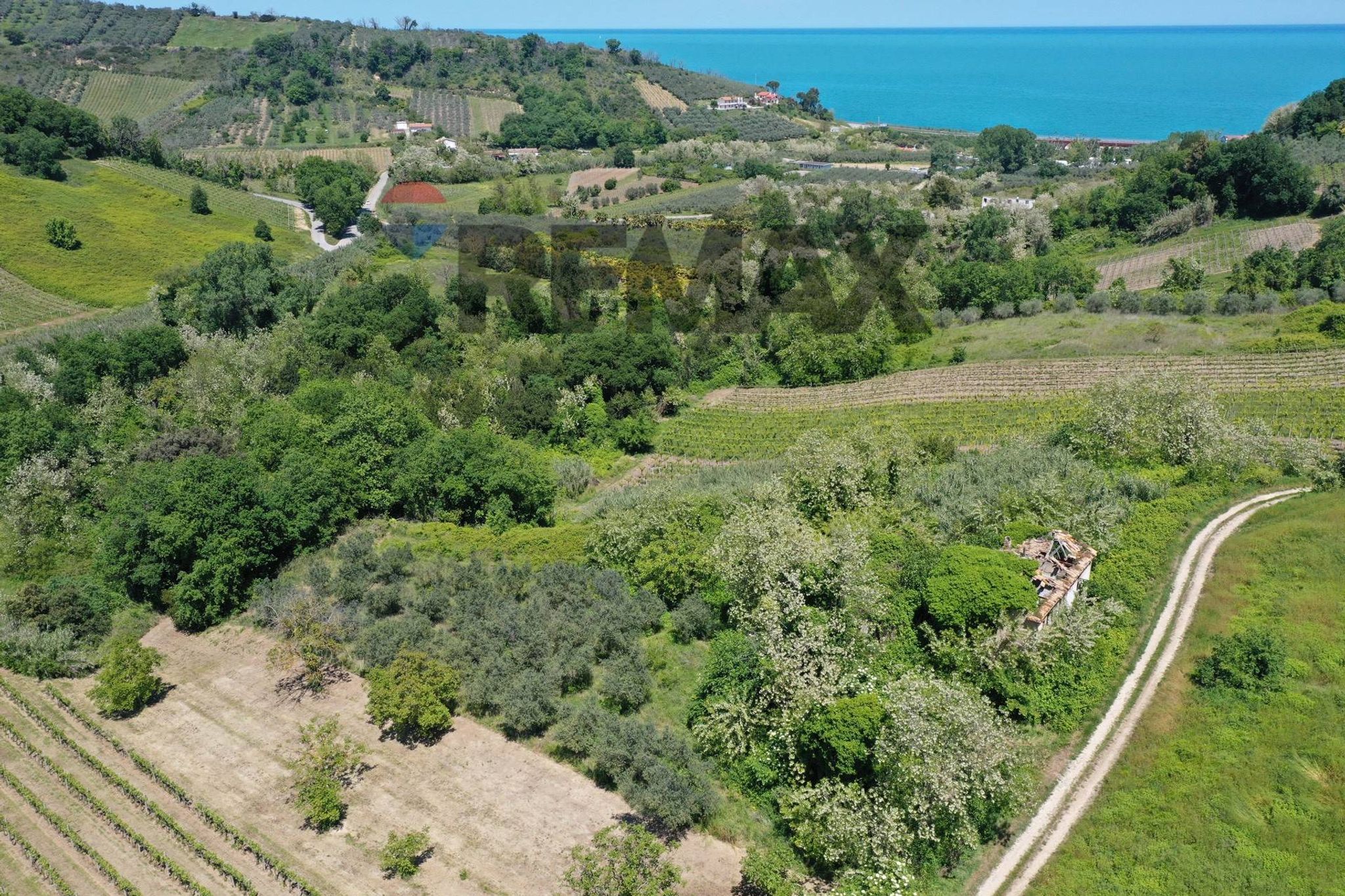 Vista delle montagne