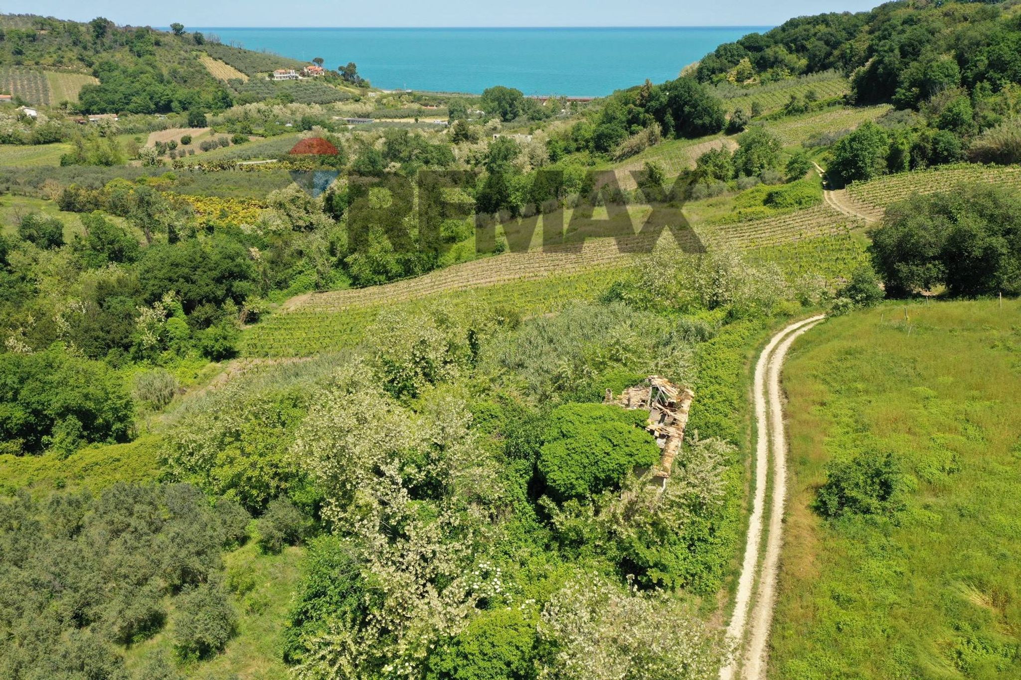 Vista delle montagne