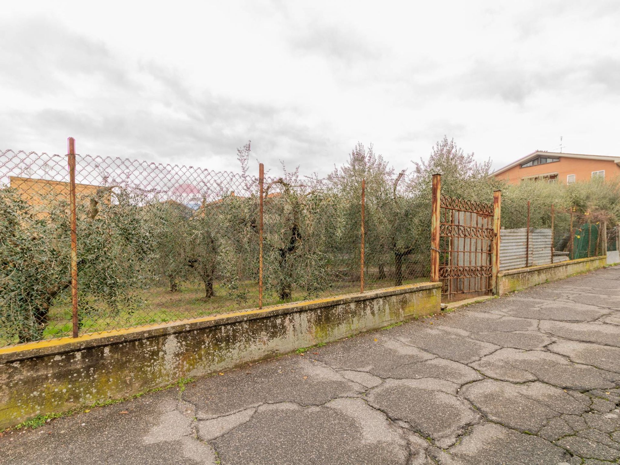 Property in Roma