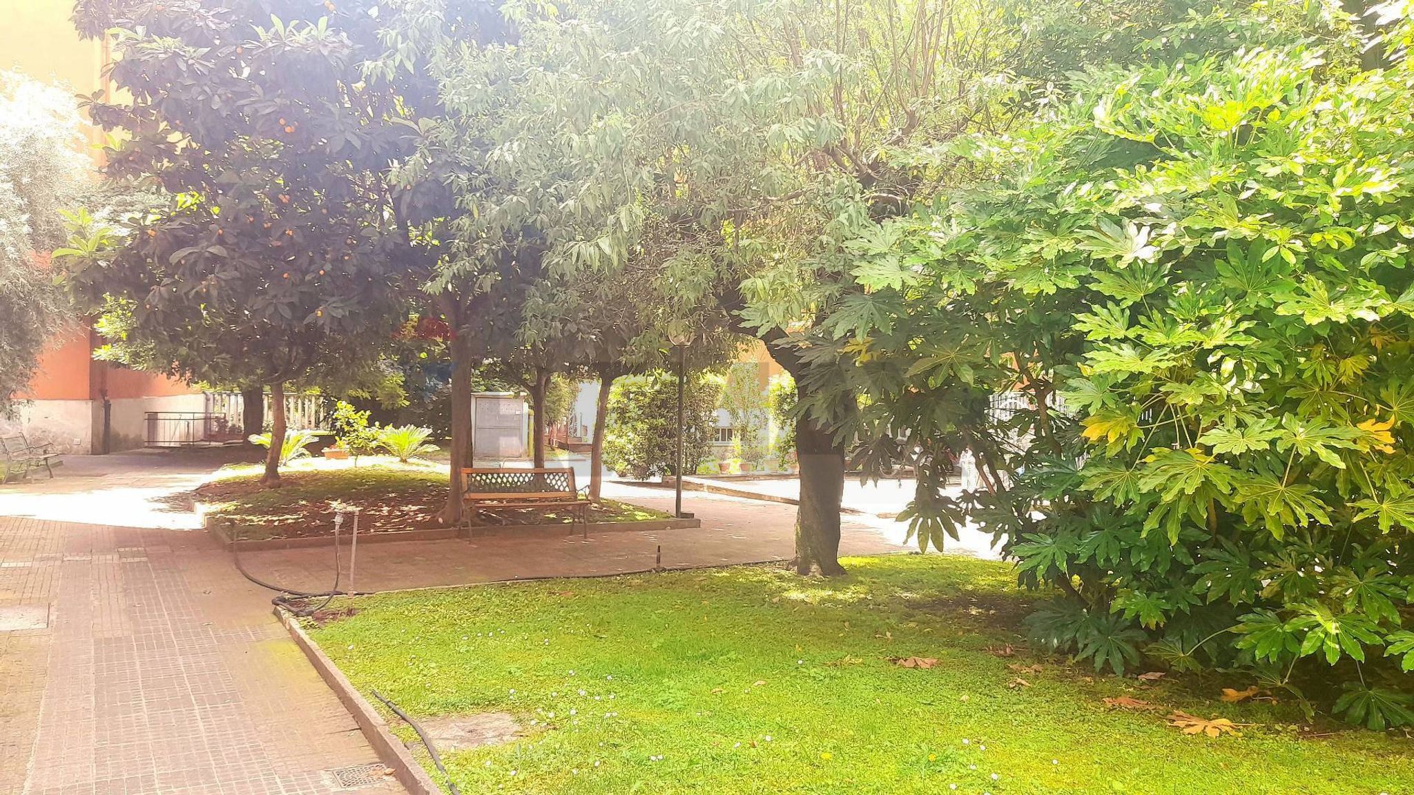 Giardino