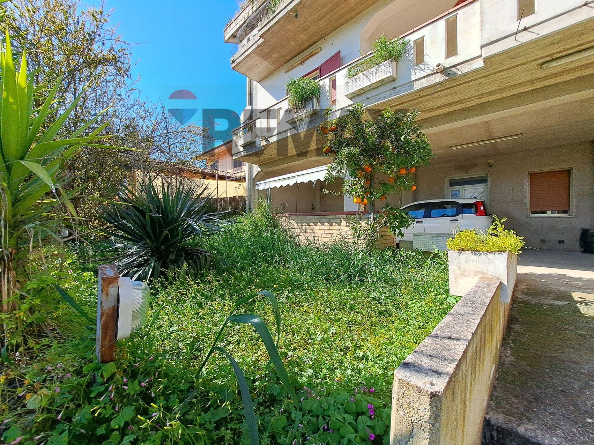 Giardino