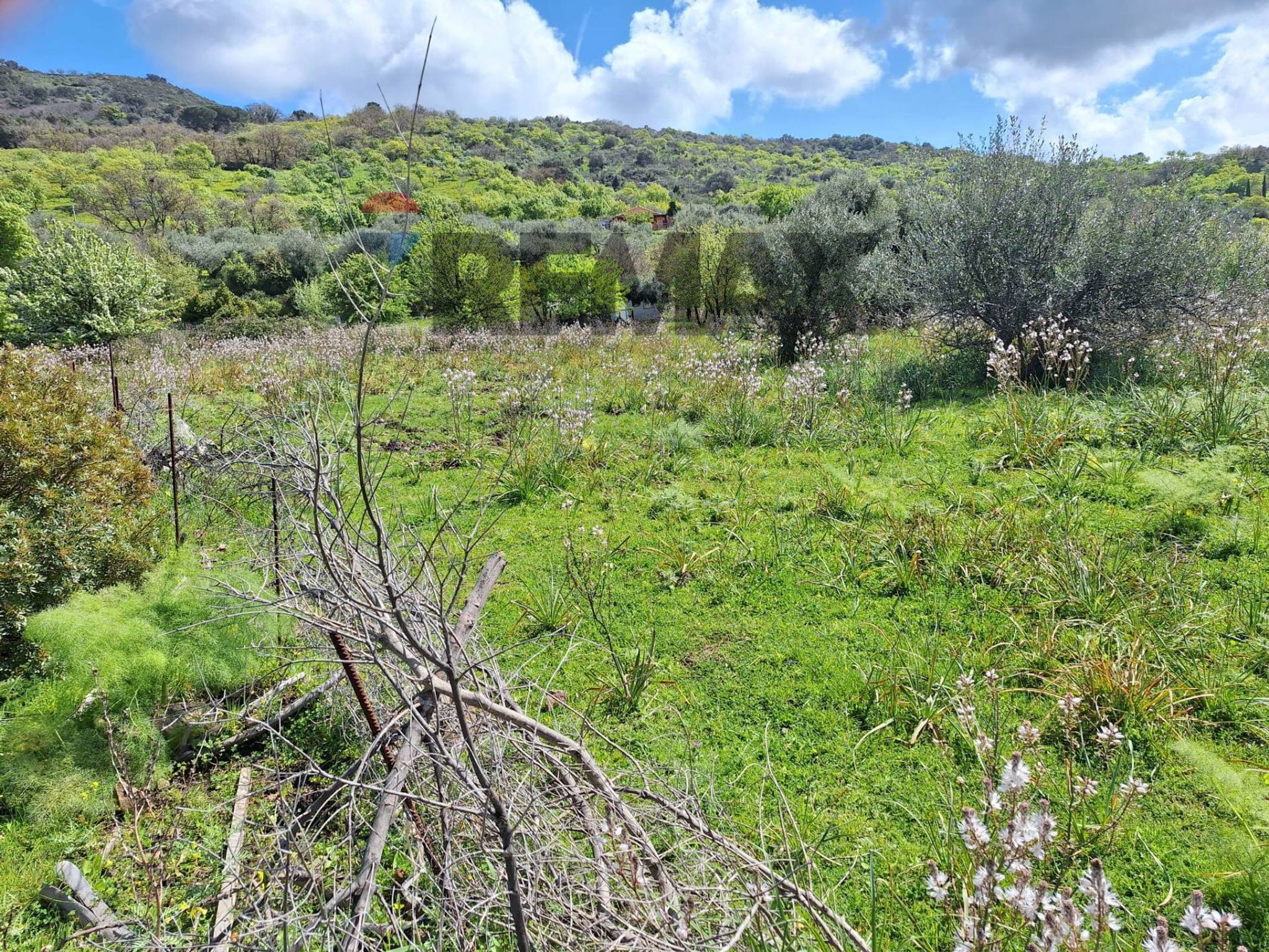 Vista delle montagne