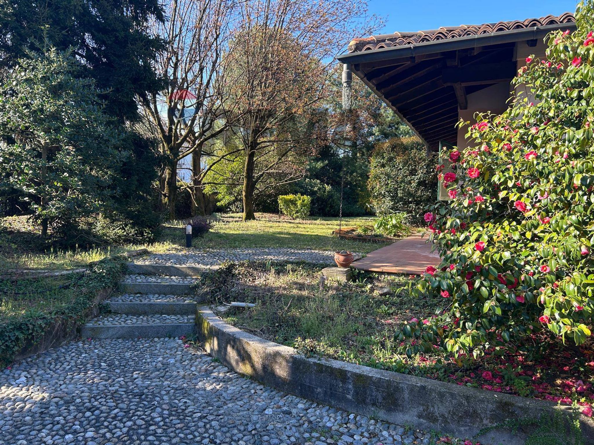 Giardino