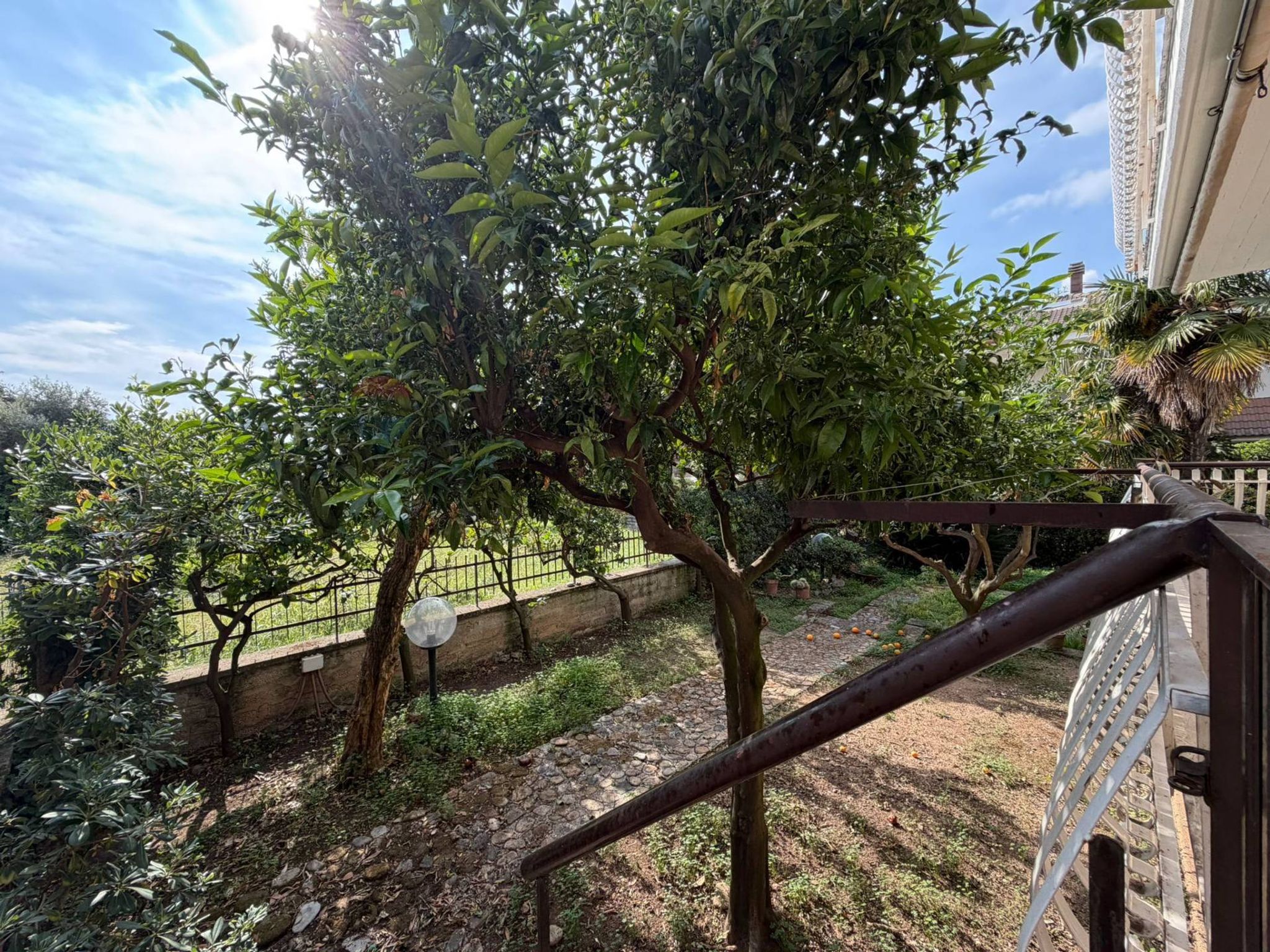 Giardino