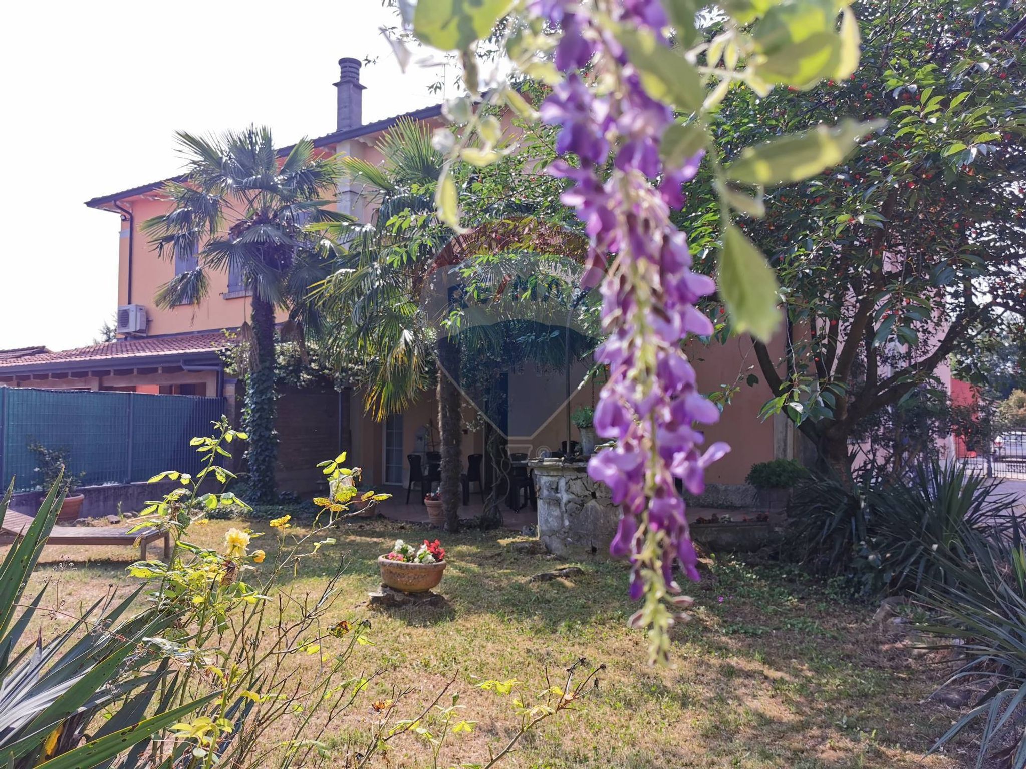 Giardino