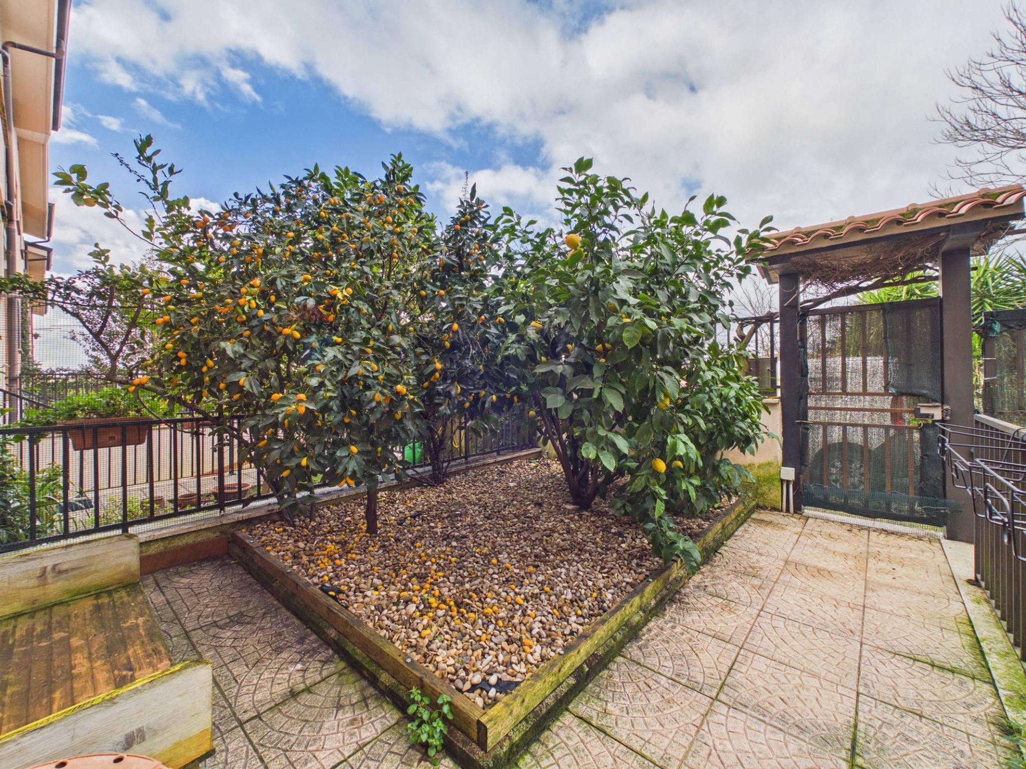 Giardino